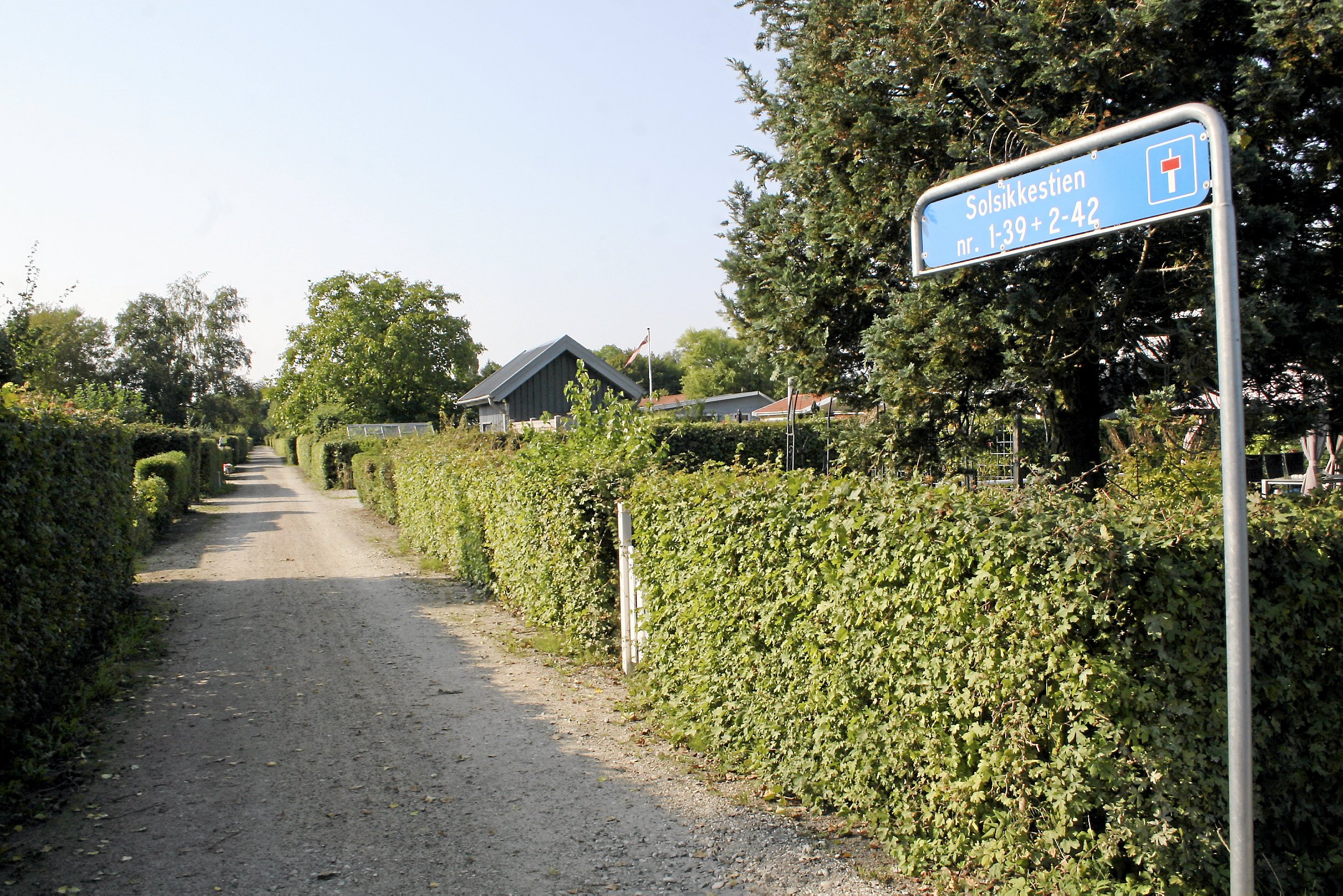 Der er fundet rigtig mange tilfælde af snyd i kolonihaverne i Ballerup Kommune. Haven på billedet er et arkivfoto og har ikke noget med sagen at gøre.