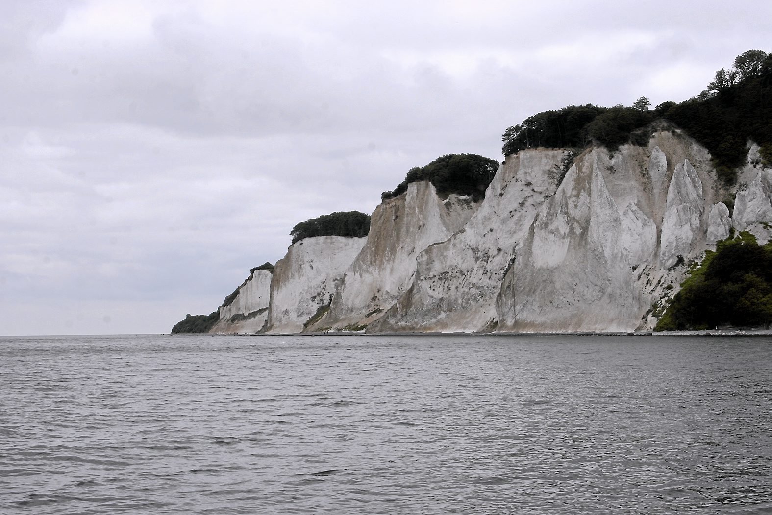 Biosfære Møn har fokus på, hvordan man beskytter naturen ved klnten og på Østmøn, hvis Møns Klint efter planen bliver Unesco verdensarv i 2025. Foto: Lene C. Egeberg
