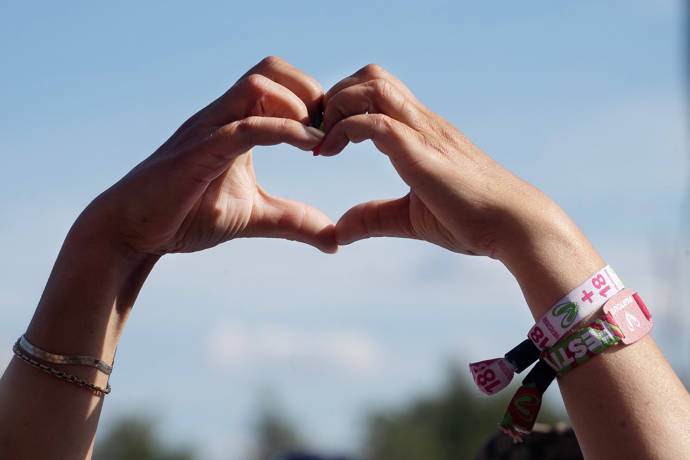 To år med klækkelige donationer fra Vig Festival til Vig Gymnastikforening giver nu tror på, at en gammel drøm kan realiseres .