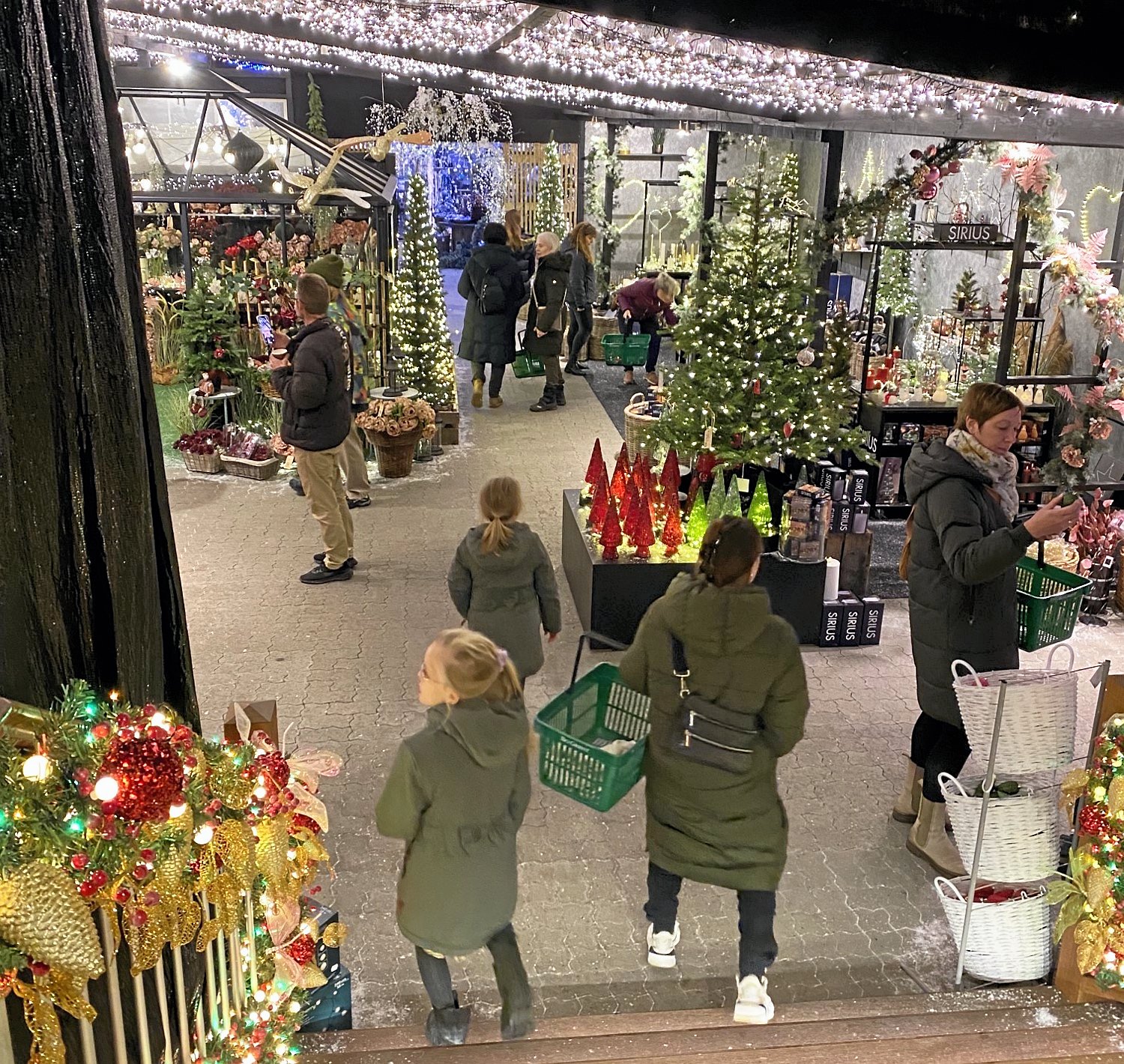 Weekendens åbning af Toksværd Planteskoles store julemarked var populær. Det kan opleves alle ugens dage indtil jul. Privatfoto