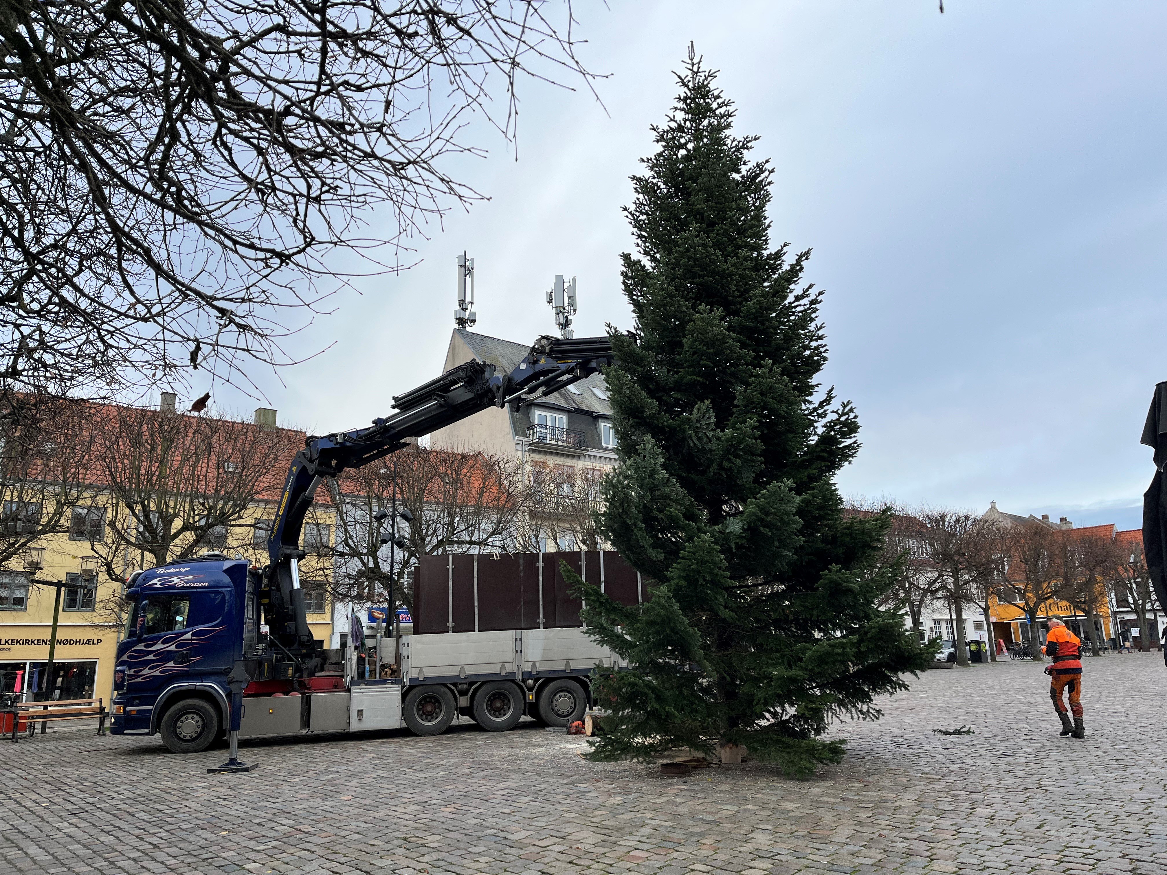 Tirsdag formiddag ankom det vældige juletræ med lastbil fra færgen. Foto: Andreas Norrie