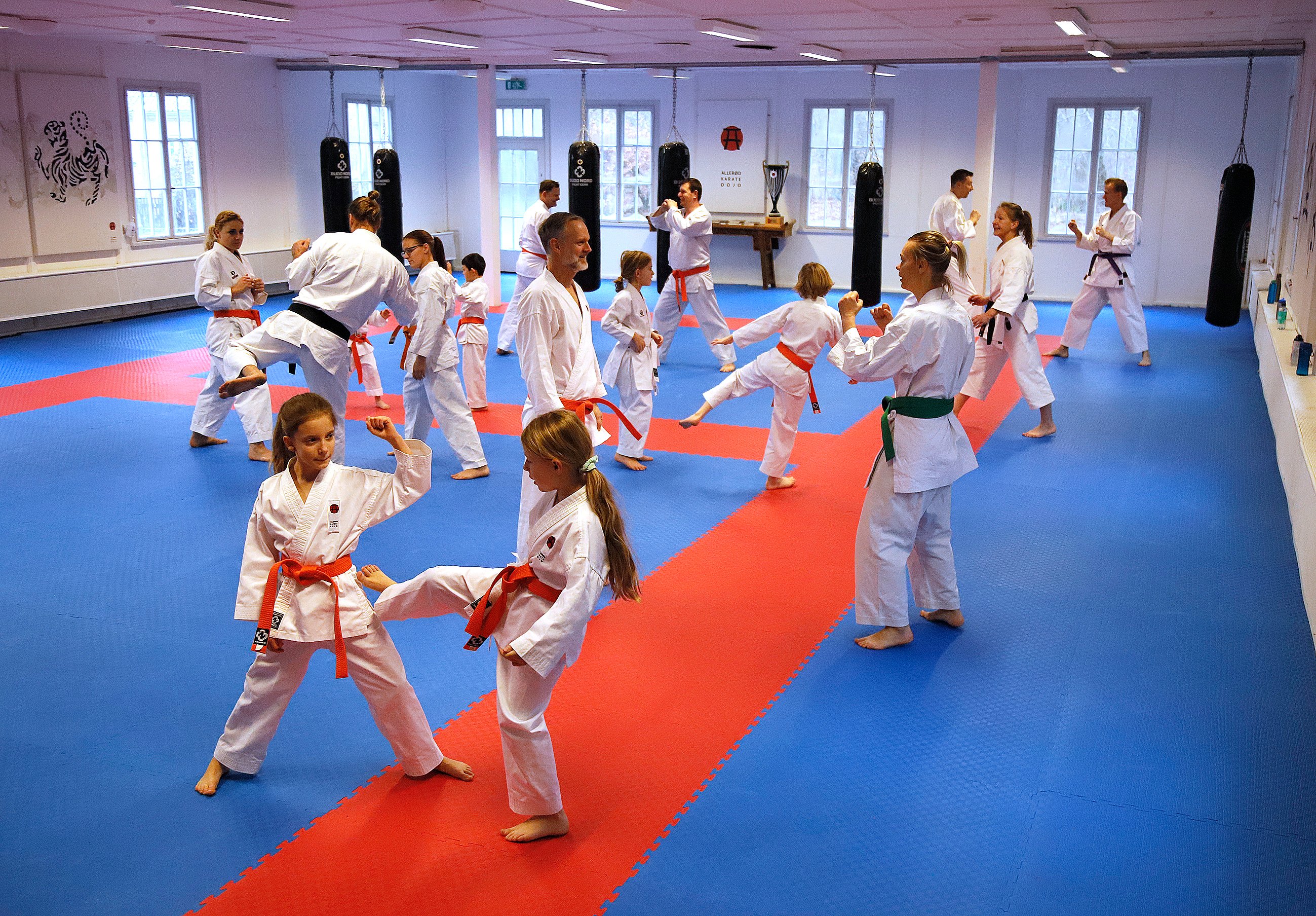 Tirsdag den 12. september flytter karateklubben aktiviteterne ud af dojo’en på Skovensvej og ned på Øen i bymidten, hvor den skal være med til at underholde dronning Margrethe. Foto: Allan Nørregaard