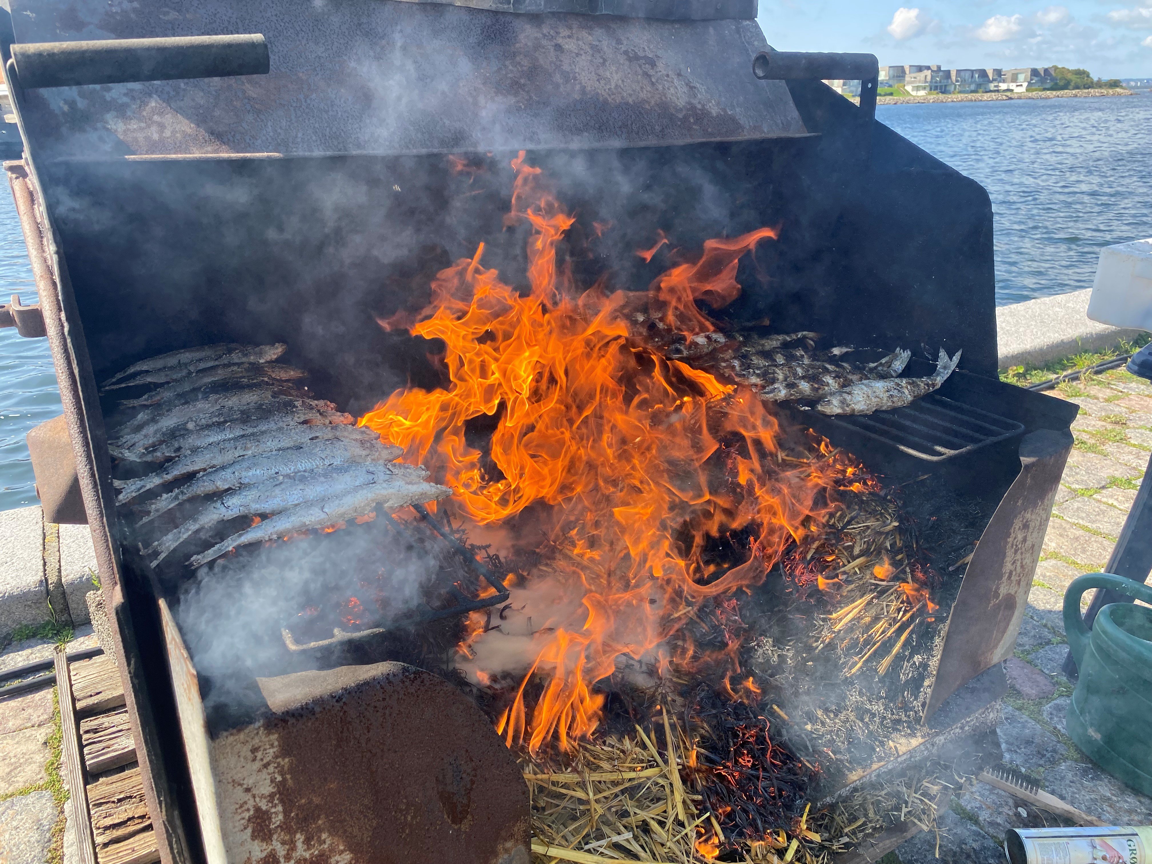 Intet Sildemarked uden de mønske sorte sild, som sendte røg ud over markedspladsen fredag. Foto: Lene C. Egeberg