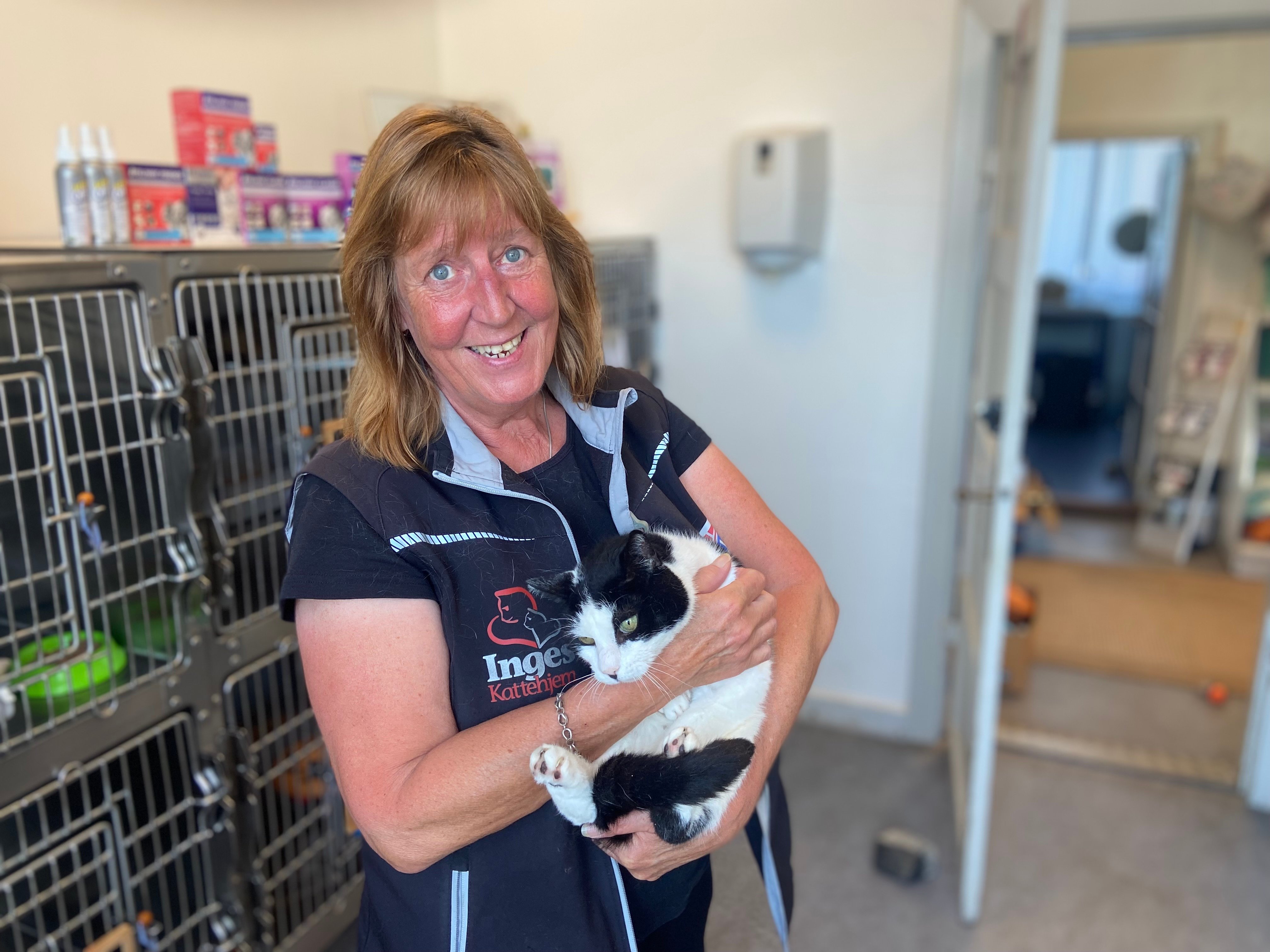 Kirsten Andersen var aldrig syg, og stod op for kattenes skyld gennem 22 år. Inges Kattehjem i Næstved har mistet en trofast medarbejder.