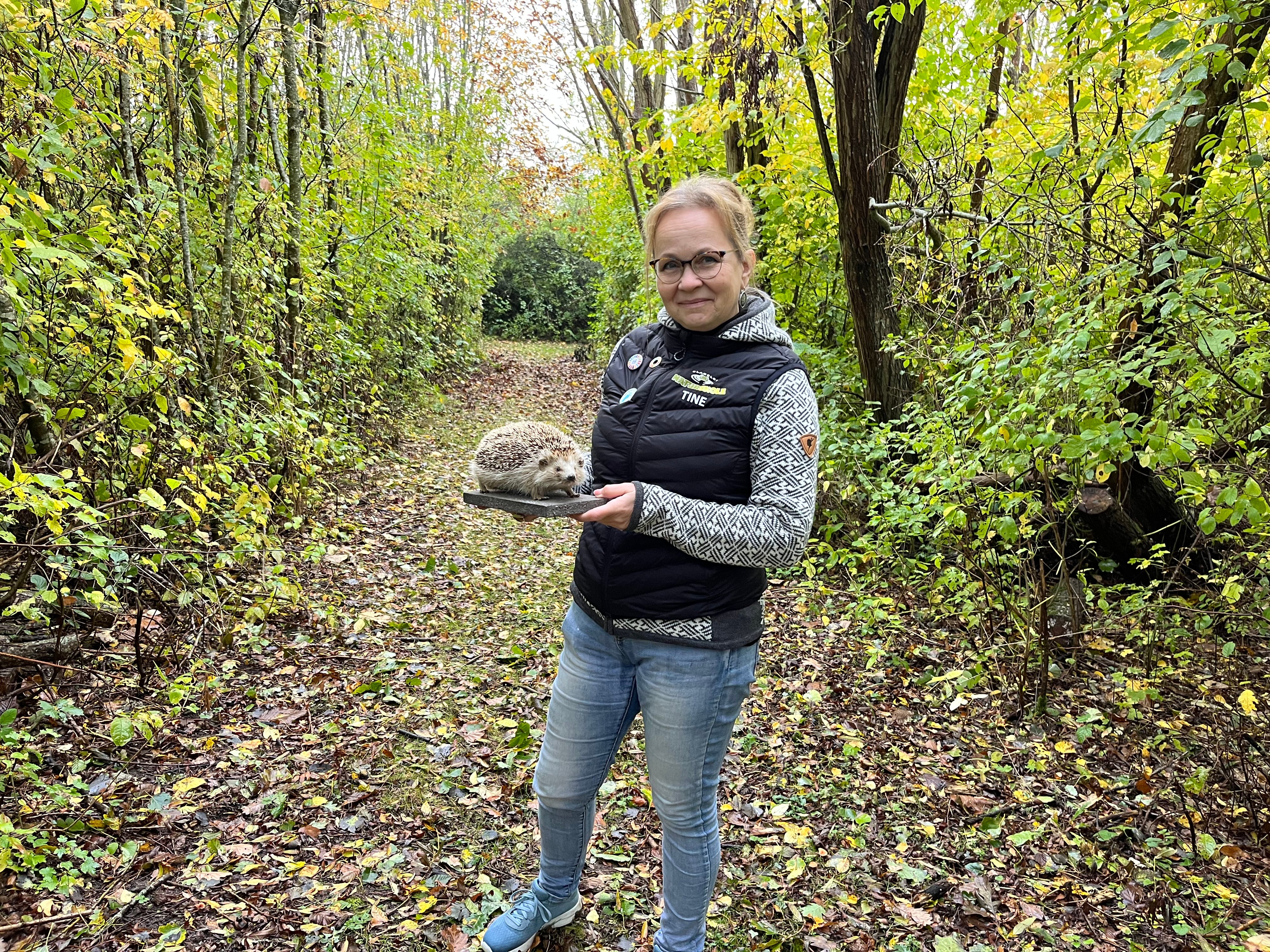 Det kræver god forberedelse, men ligger i deres natur. Når man skal sove i et halvt år skal man være både tryg, tør og tilpas og - ikke mindst - mæt.