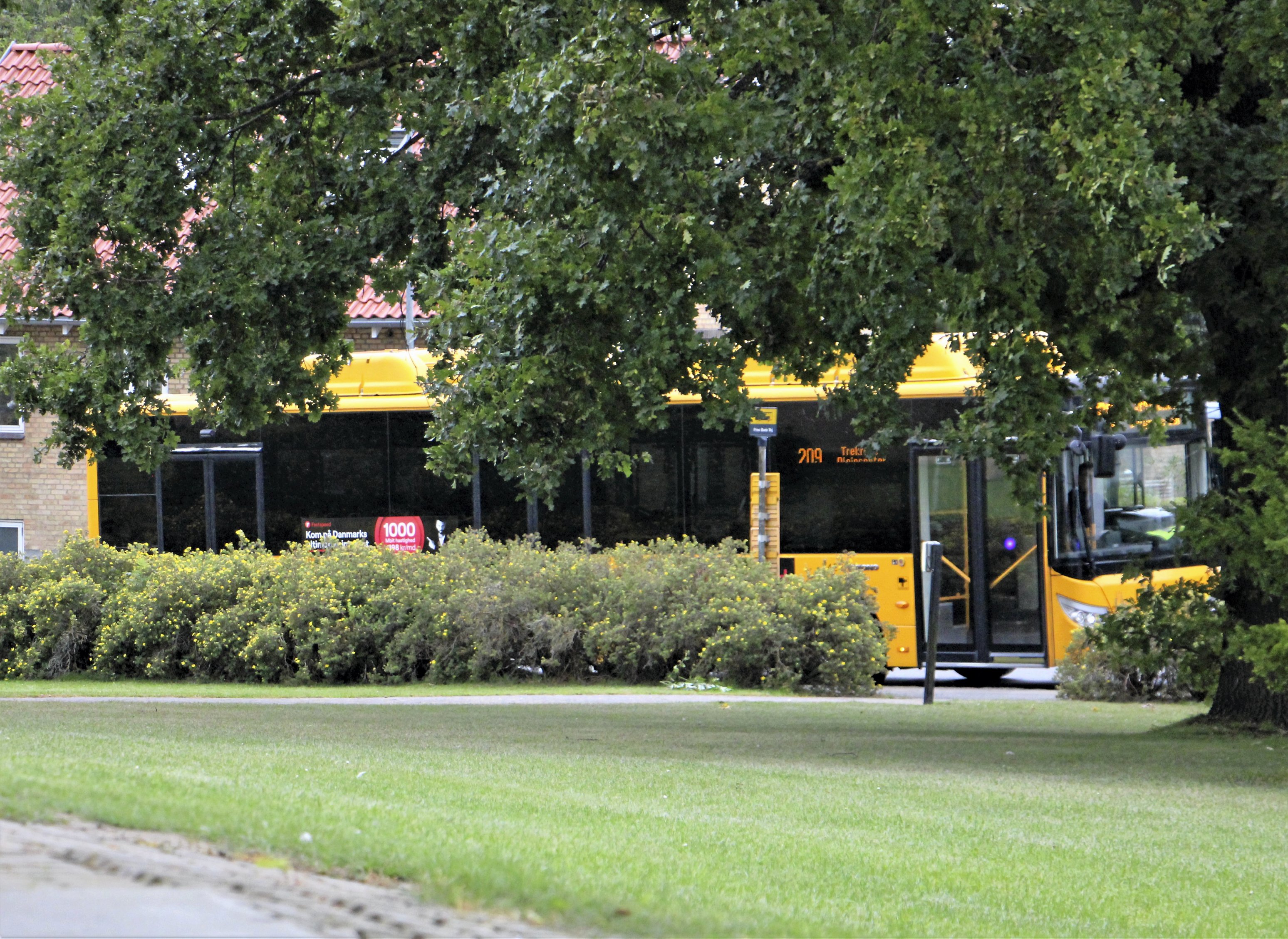 Mange ældre bruger bus 204 og 209, når de skal handle ind.