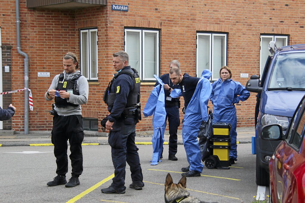 Både hunde,  betjente og teknikere i dnadragter arbejdede tirsdag eftermiddag i boligområde på Bellahøj