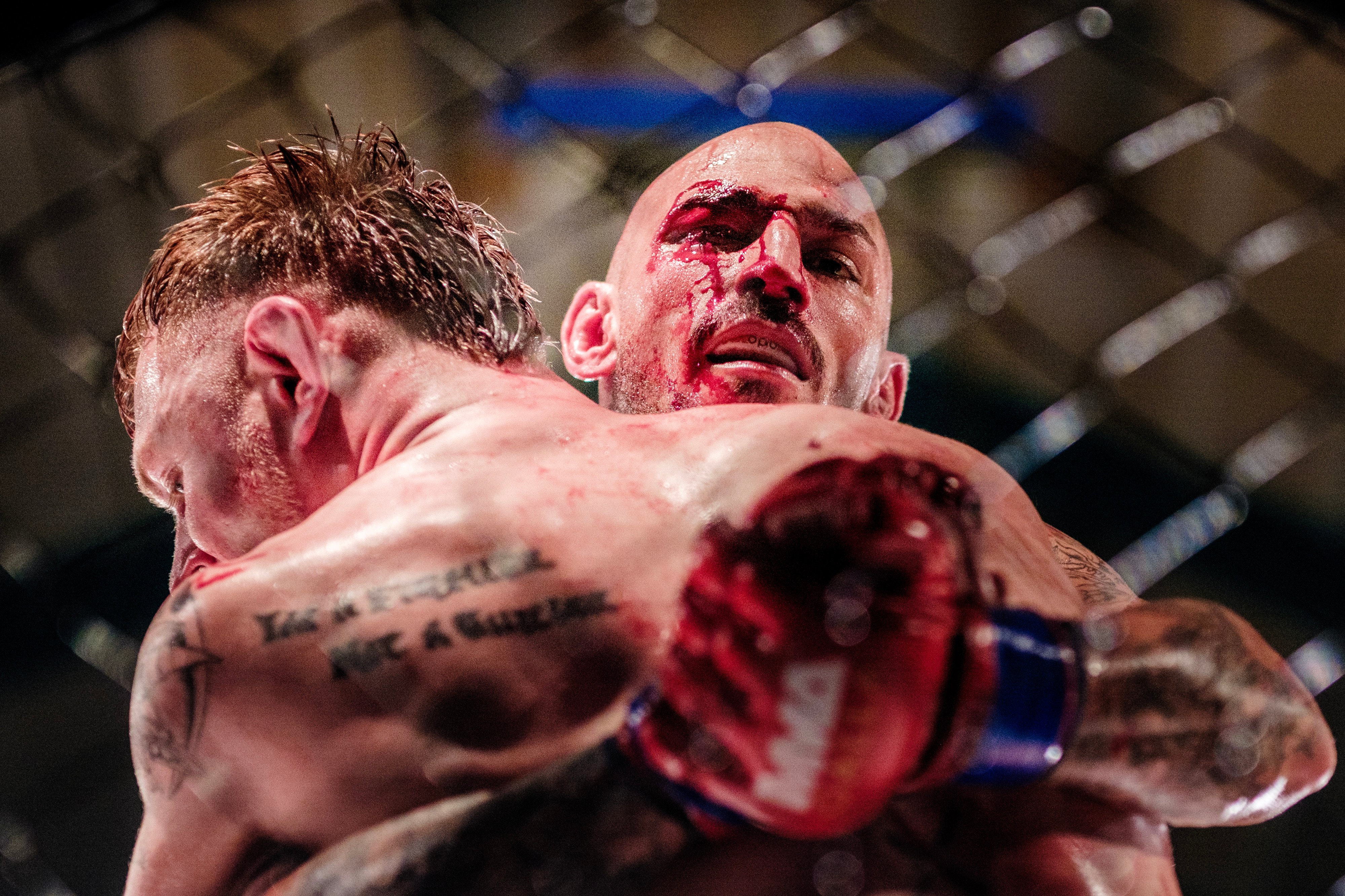 MMA er på få år blevet en populær tilskuersport i Danmark.