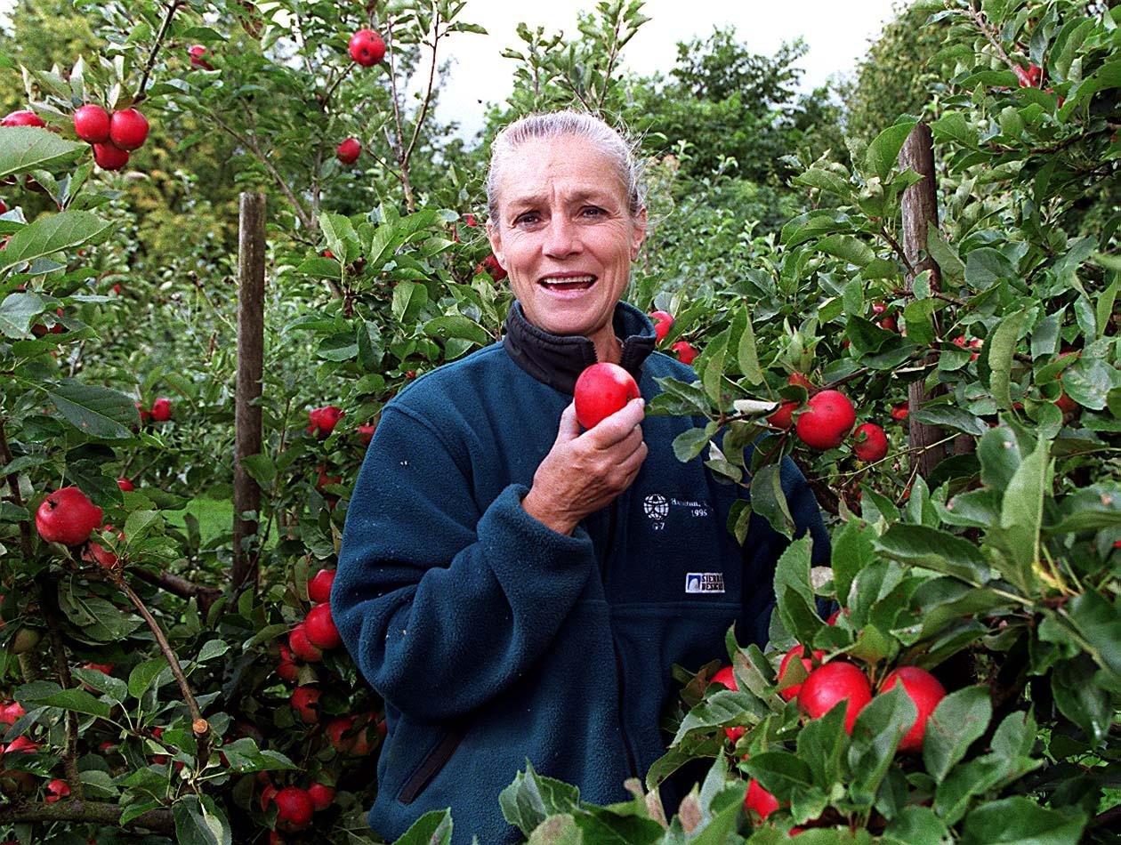 Ritt Bjerregaard i sin frugtplantage på Bjerregarrden i Kirke Eskildstrup mellem Holbæk og Tølløse. Hun anlagde frugtplantagen i 1982 og solgte den i 2020.