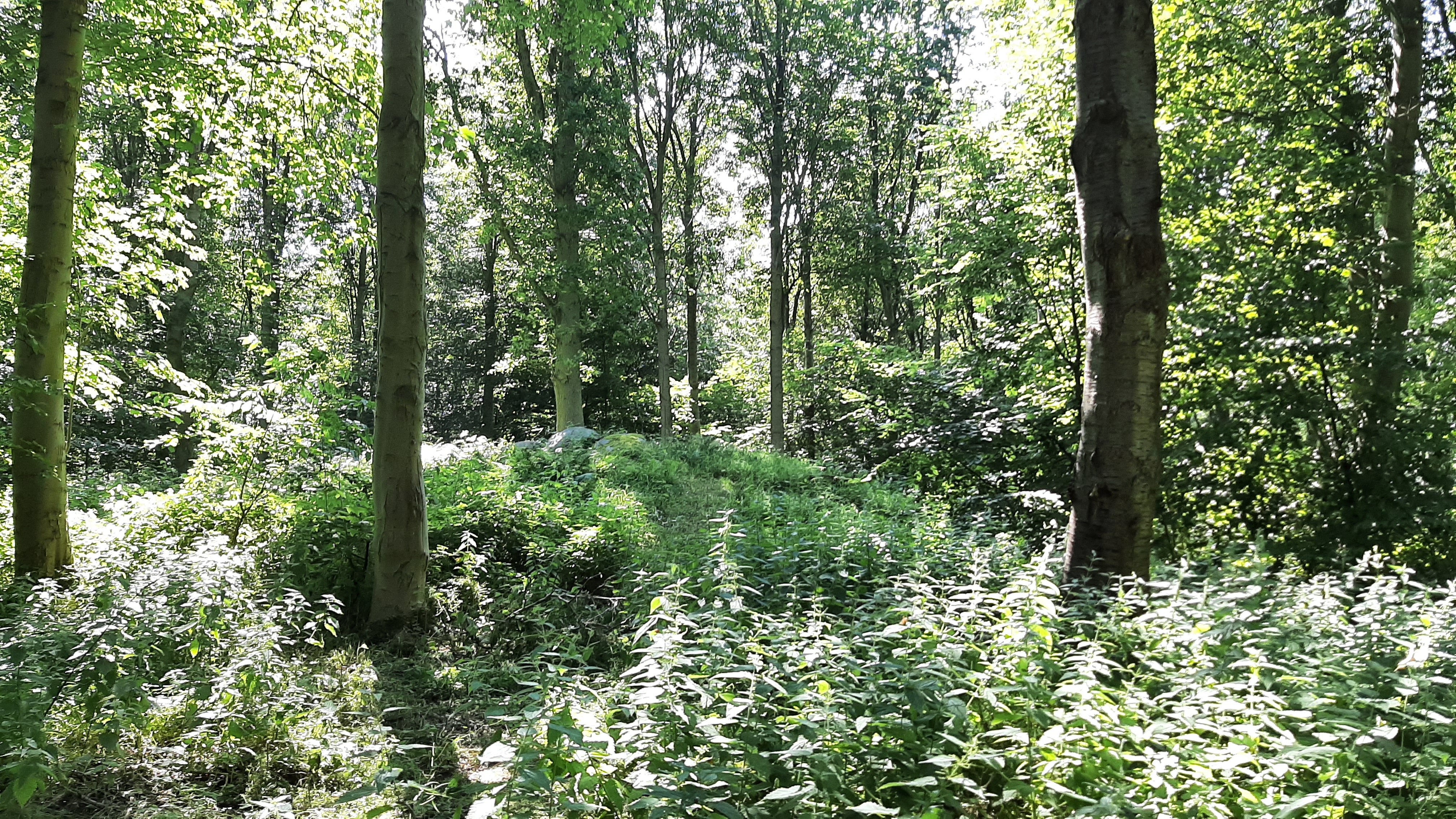 l maj måned går Gribskov Kommune i luften med det nye initiativ ”Gribskov går grønt”. Arkivfoto