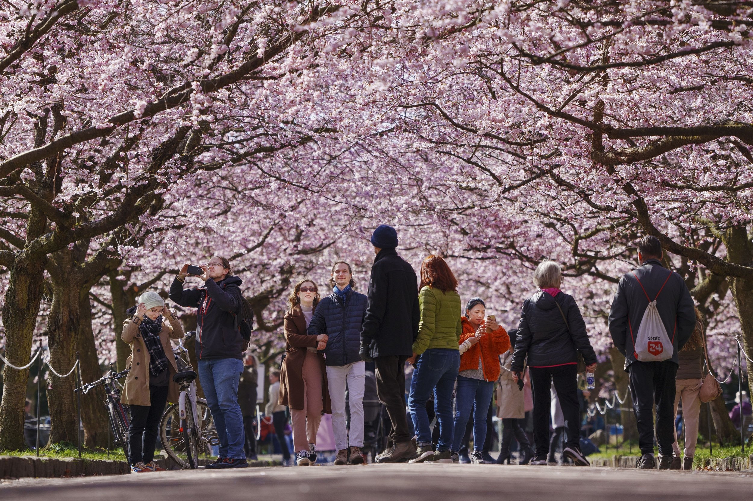 Man bør huske på, hvor man er, når man besøger Bispebjerg kirkegård, lyder det fra Københavns Kommune.