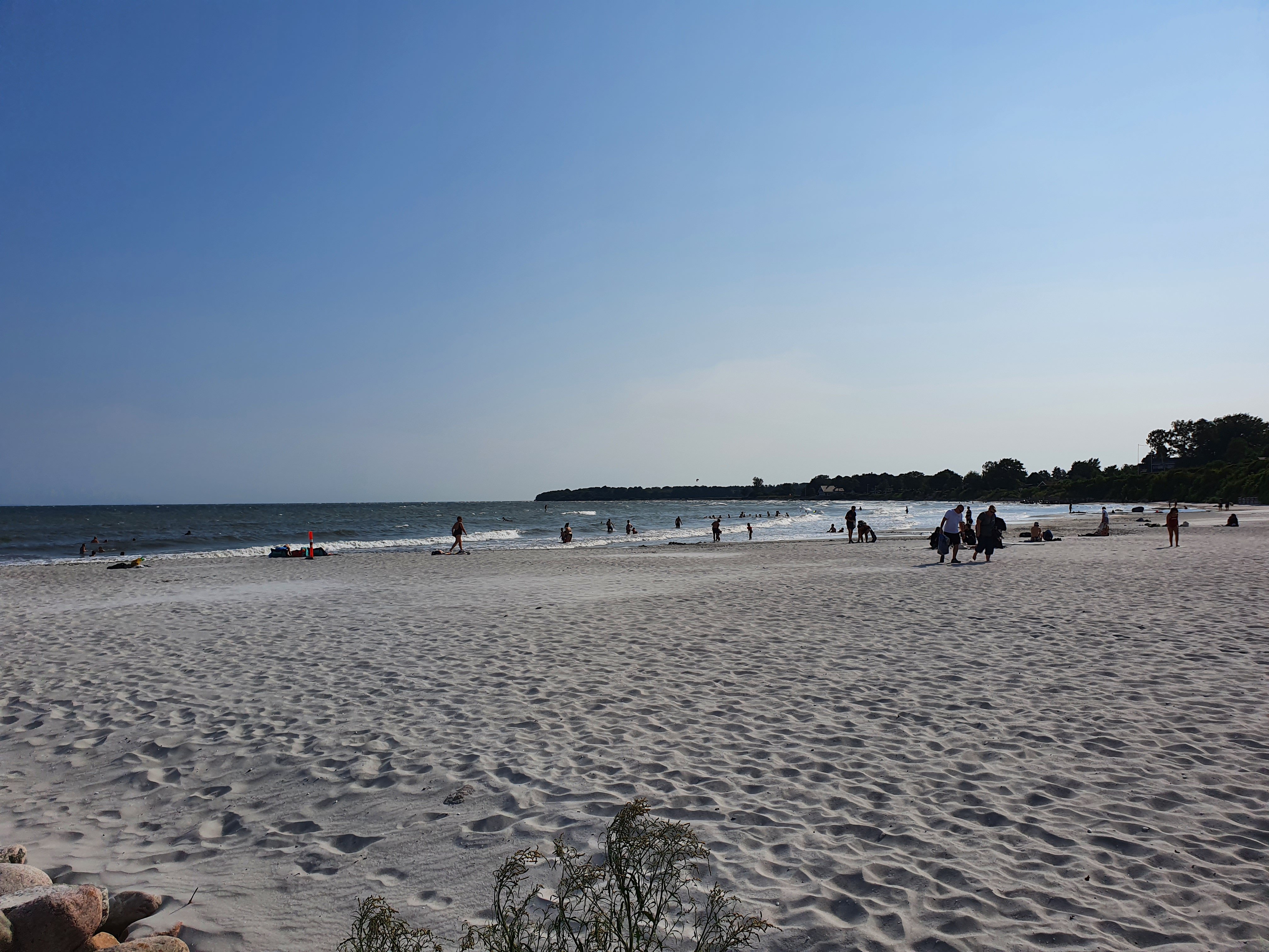 Stranden Ved Vejs Ende, Bøgeskoven strand samt stranden bag fiskerihavnen i Rødvig (billedet) skal gøres mere handicapvenlige, så der bliver adgang for kørestolsbrugere. Foto: Erik Nielsen
