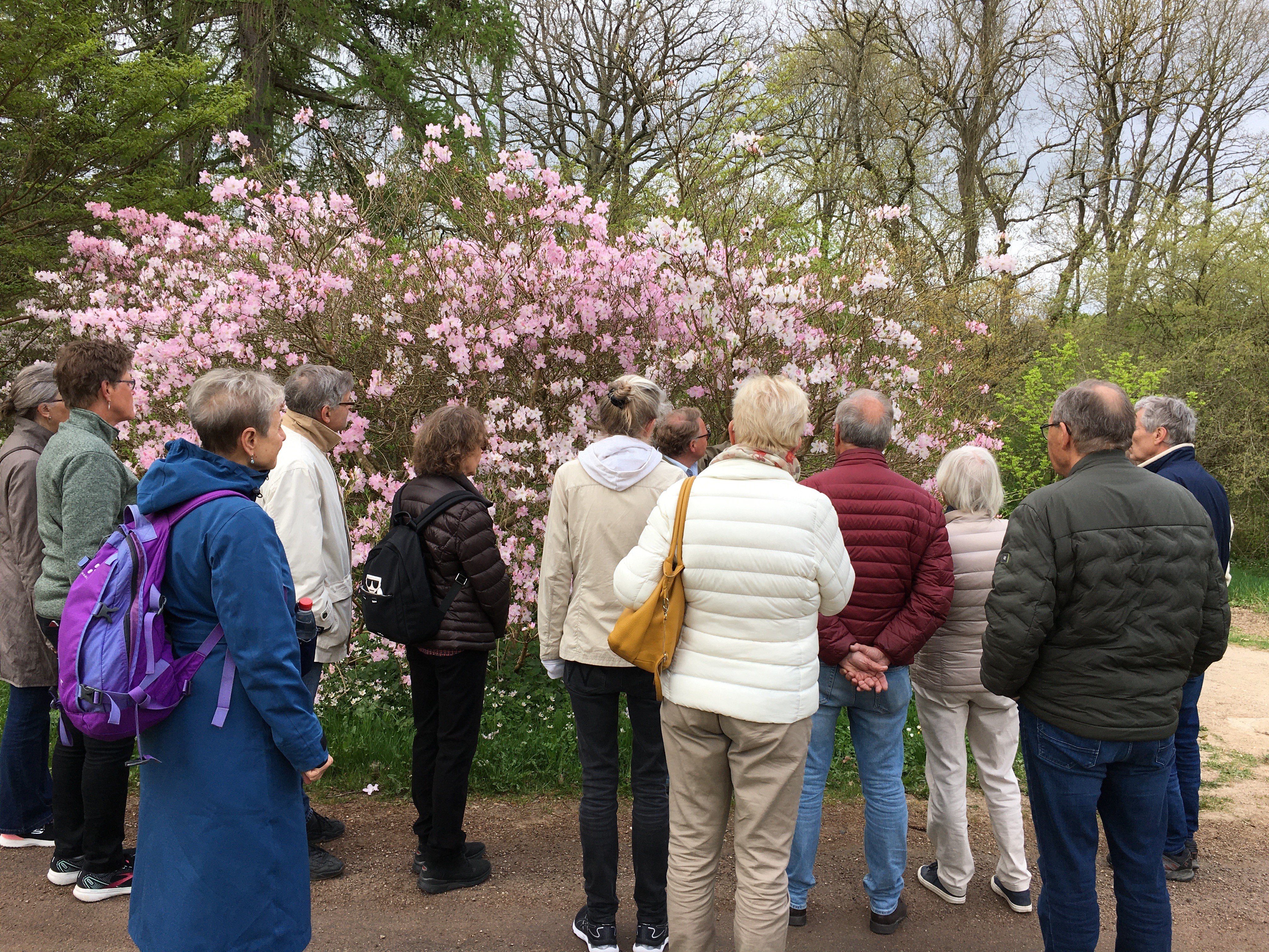 Søndag den 5. maj er der åbent hus i Arboretet, hvor man både kan gå på opdagelse selv og deltage i aktiviteter og rundvisninger på stedet. Foto: PR