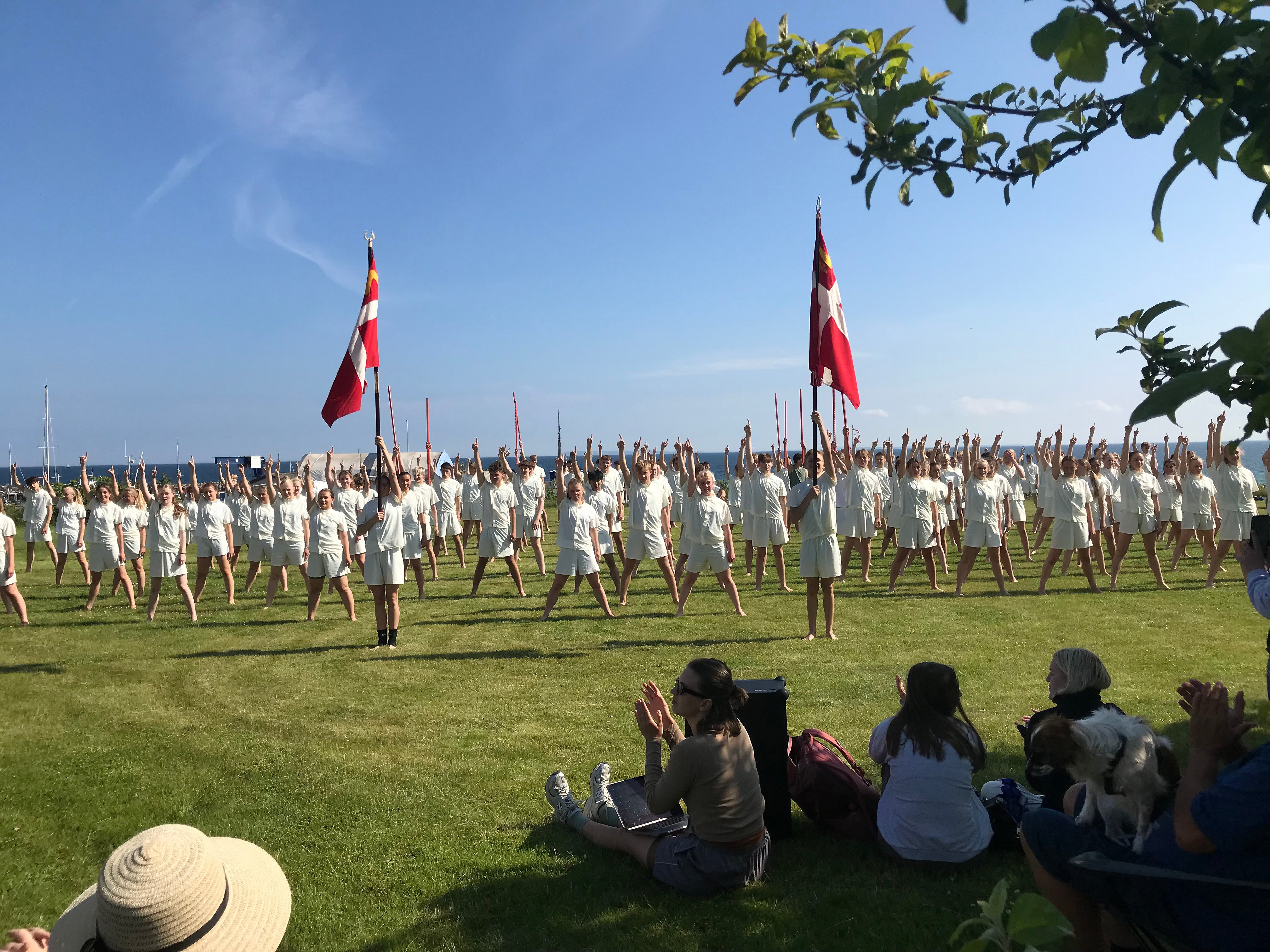 Torsdag 11. juni klokken cirka 16.00 er der igen mulighed for at opleve de dygtige elever fra Gymnastikefterskolen Stevns ved den årlige opvisning på arealet ved Strandhotel Klinten og Plejecenter Plushøj i Rødvig.