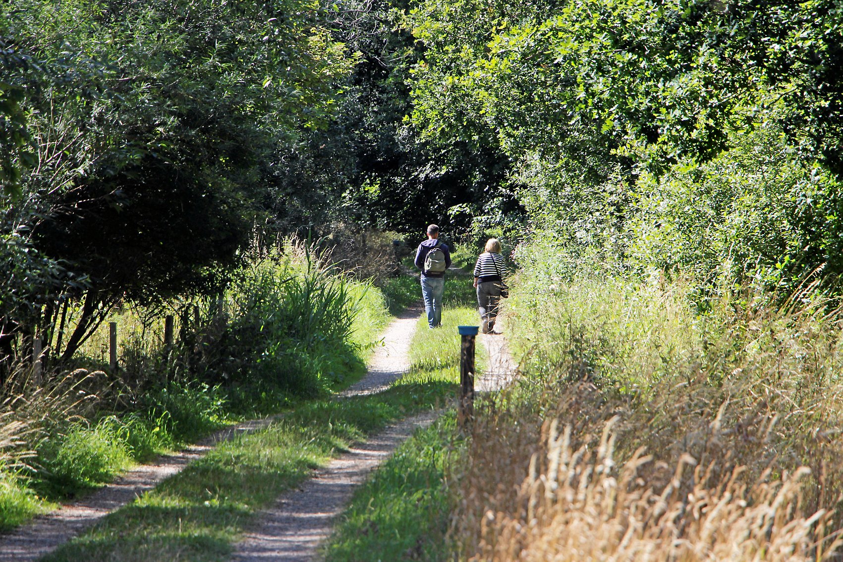 Et vigtigt skridt er taget mod pilotnaturpark, der skal binde de grønne områder sammen i Ringsted Kommune.