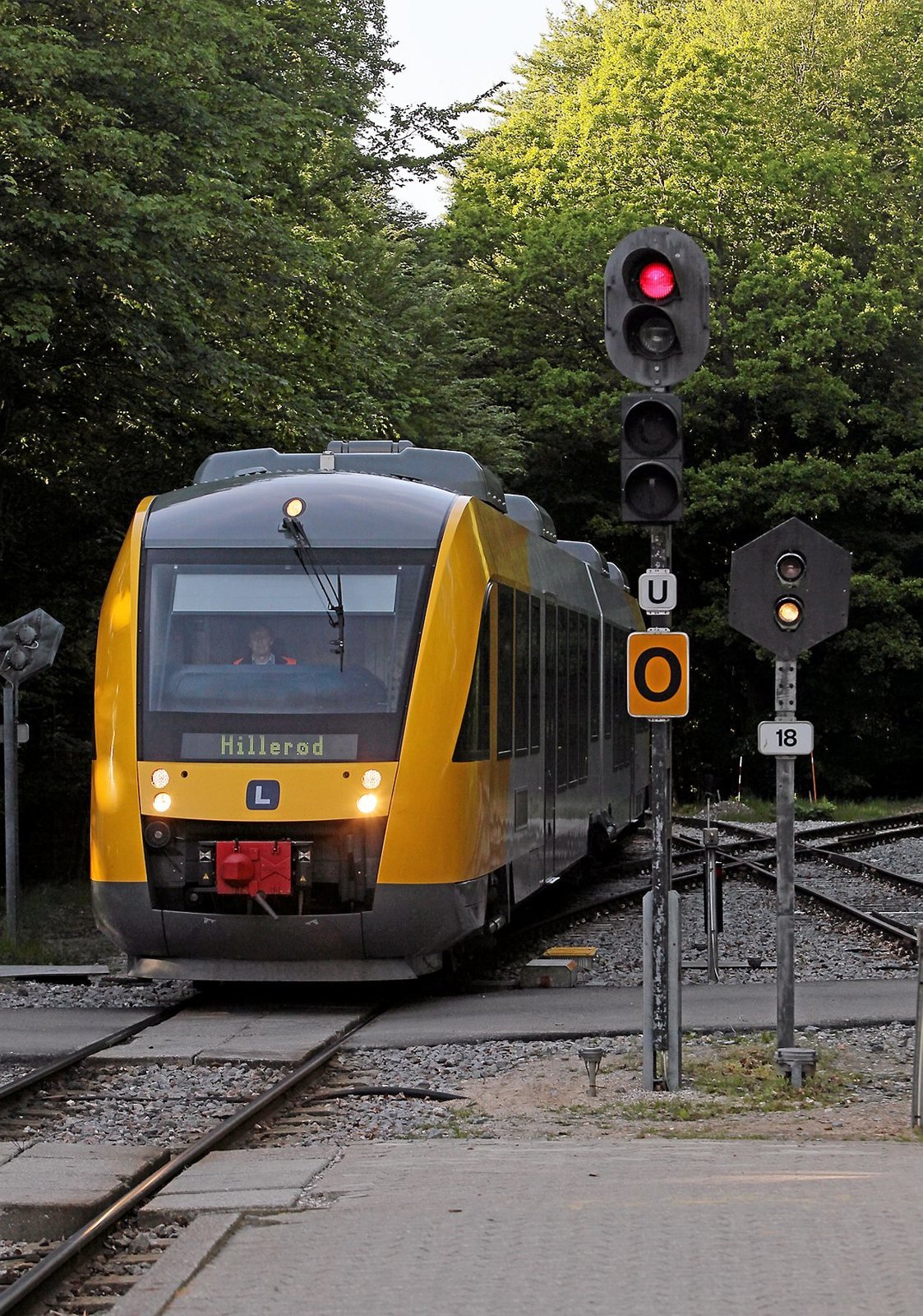 Foto Allan Nørregaard
