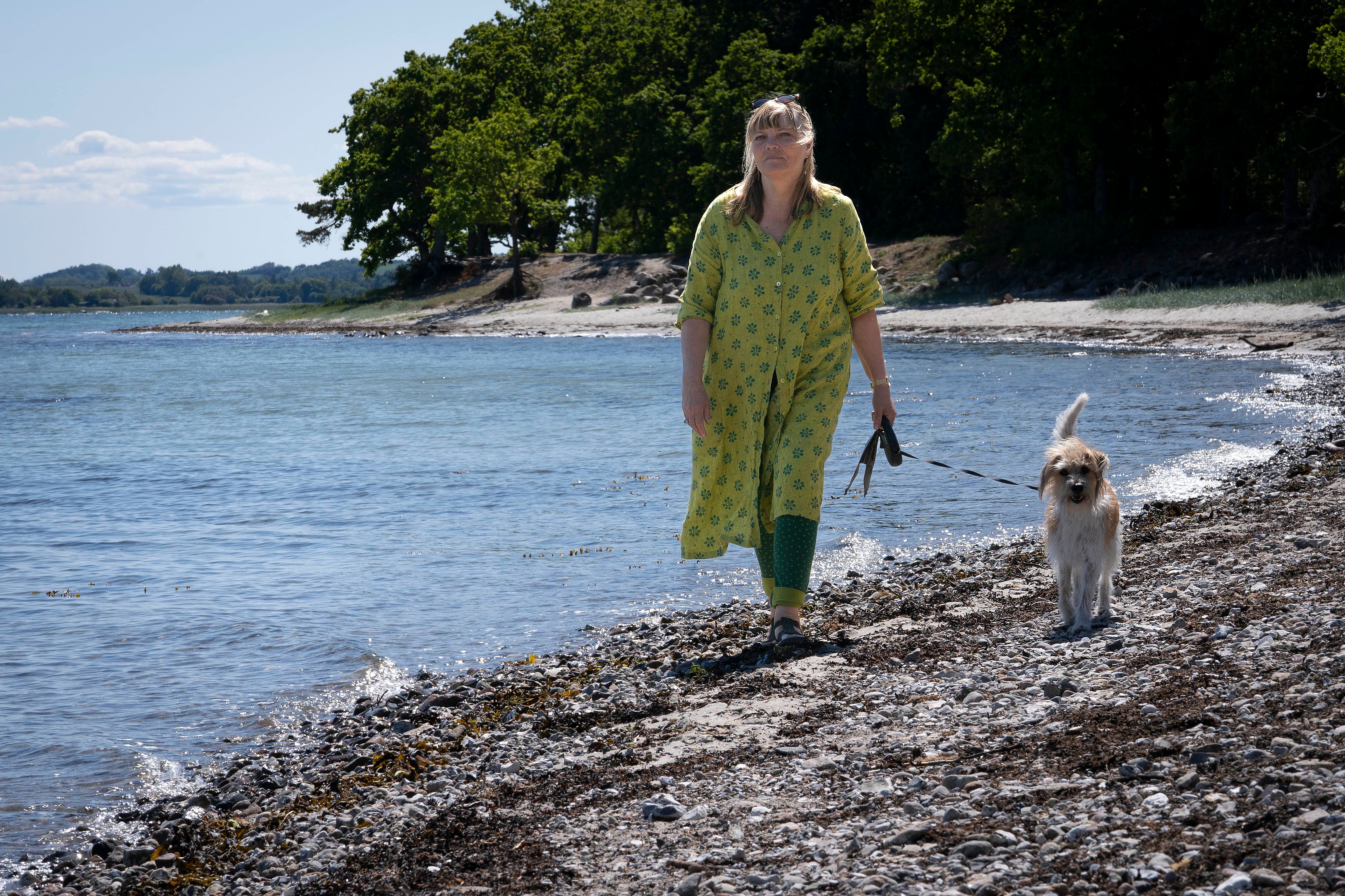 Anna Grues hund Billie er af racen kromfohrländer. Hver uge går de tur ved Sandskredet, hvor forfatteren også har fundet inspiration til sin seneste roman, som udkommer fredag den 9. juni. Foto: Anders Ole Olsen