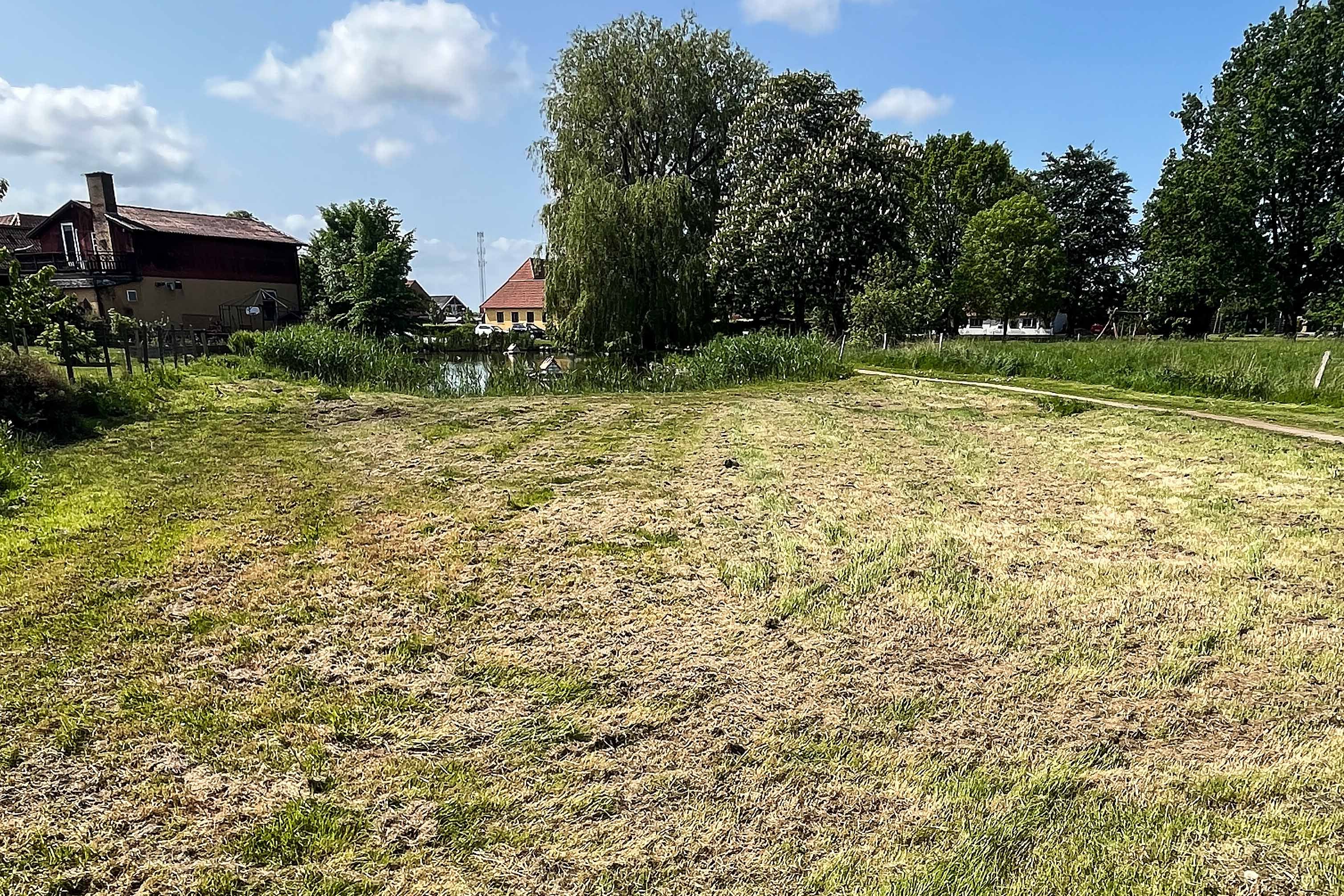 I Ganløse forstår man ikke, hvorfor byens engområde med mange blomster skulle lade livet i forbindelse med en græsslåning. Kommunen erkender, at der er tale om en fejl.