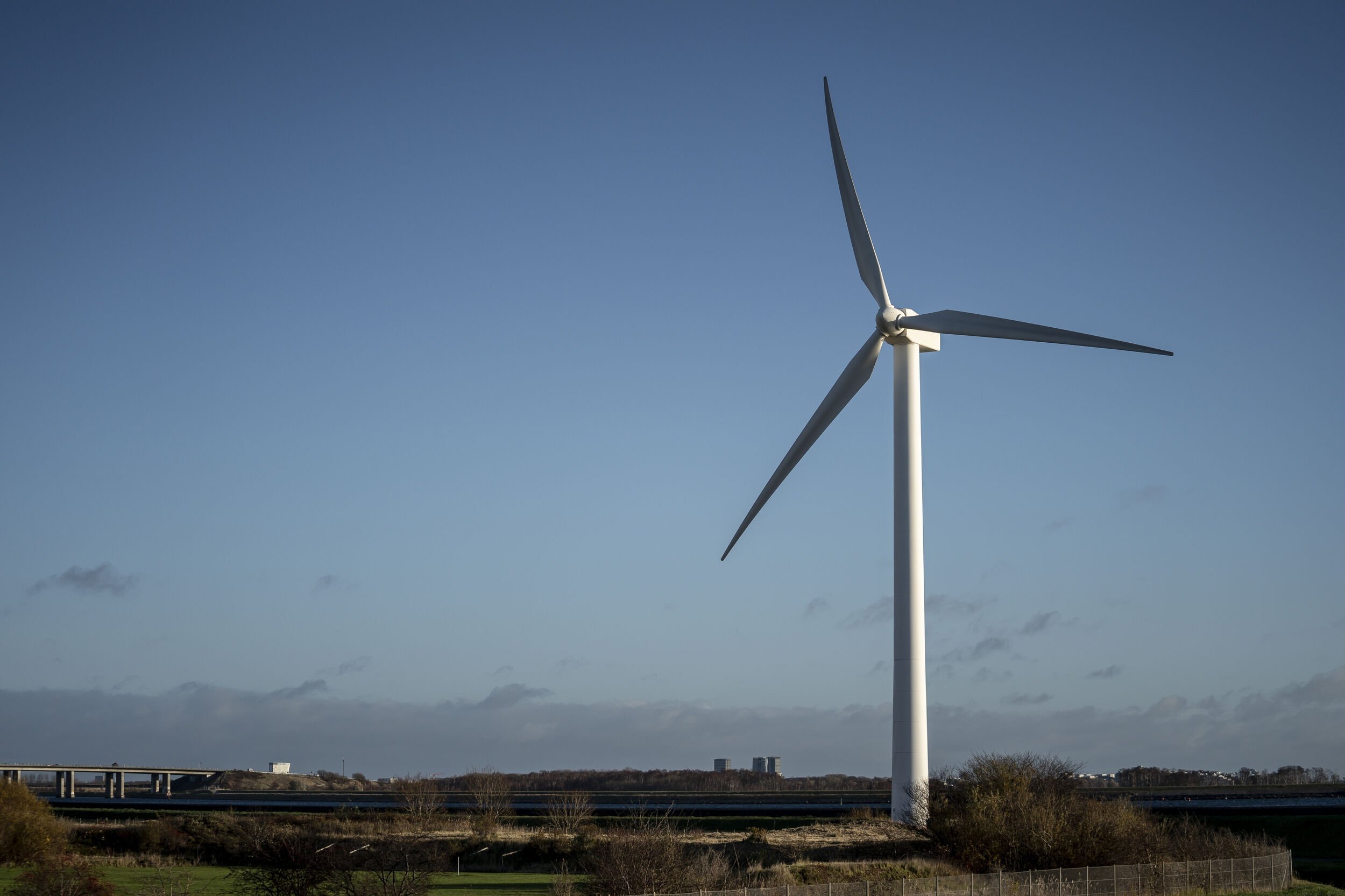 Fast biomasse som træpiller og skovflis var den største vedvarende energikilde sidste år.