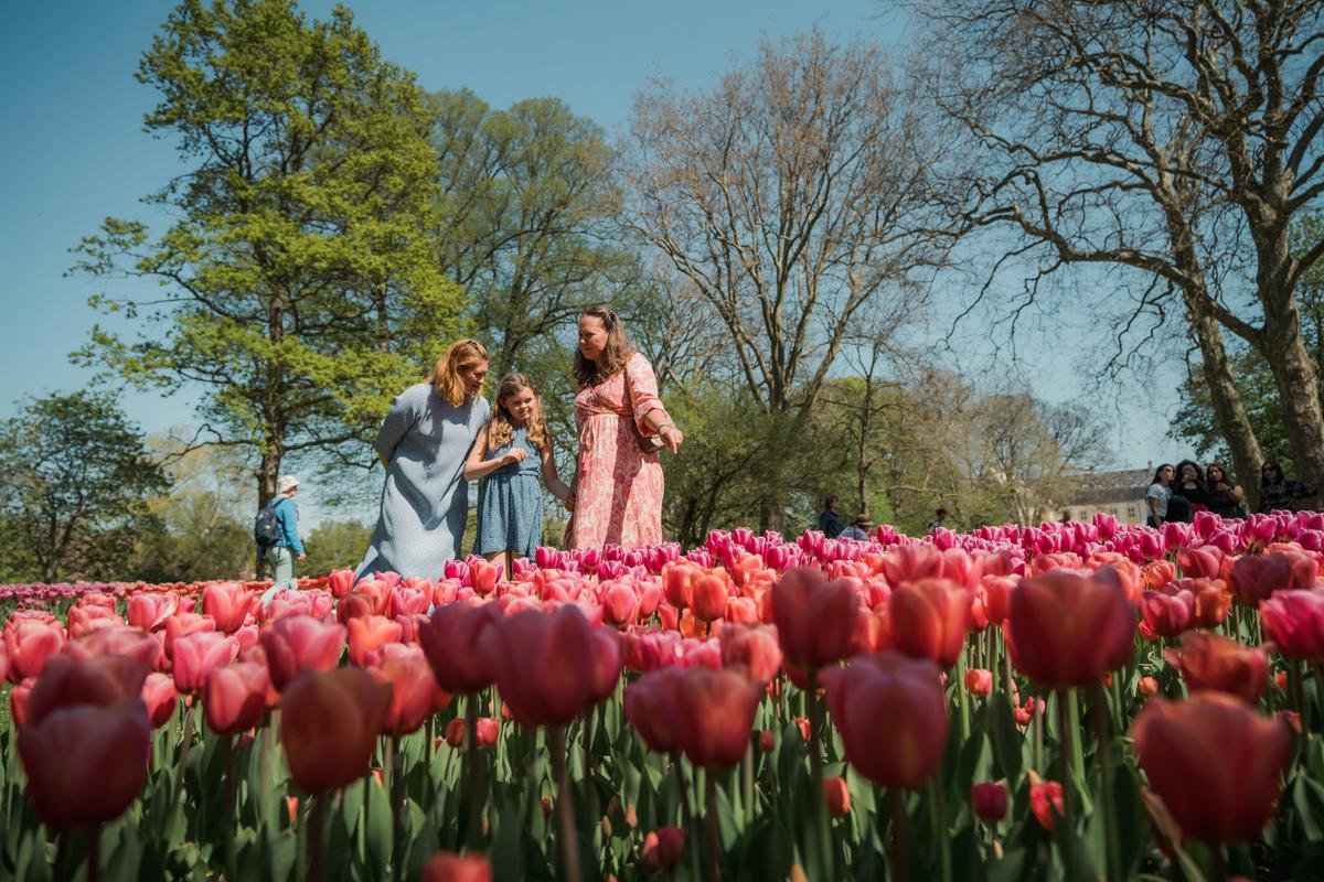 I denne weekend er der markedsdage, tulipaner og rundvisninger på Gavnø. Pressefoto