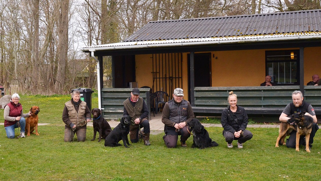 Hyggeligt samkvem med hunde og ejere på træningsbanen ved DCH’s klubhus på Grønningen i Holtug Bygade. (Foto: Lasse Jespersen)