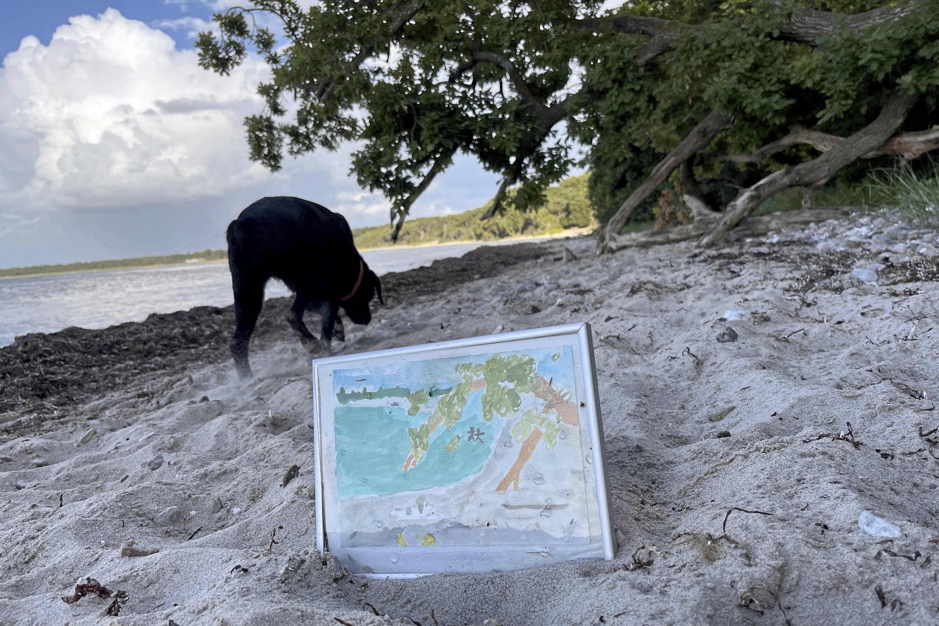 På maleriet er hunden erstattet af badende børn, men ellers ligner motivet ganske godt virkeligheden man møder på stranden ved Høve Skov.