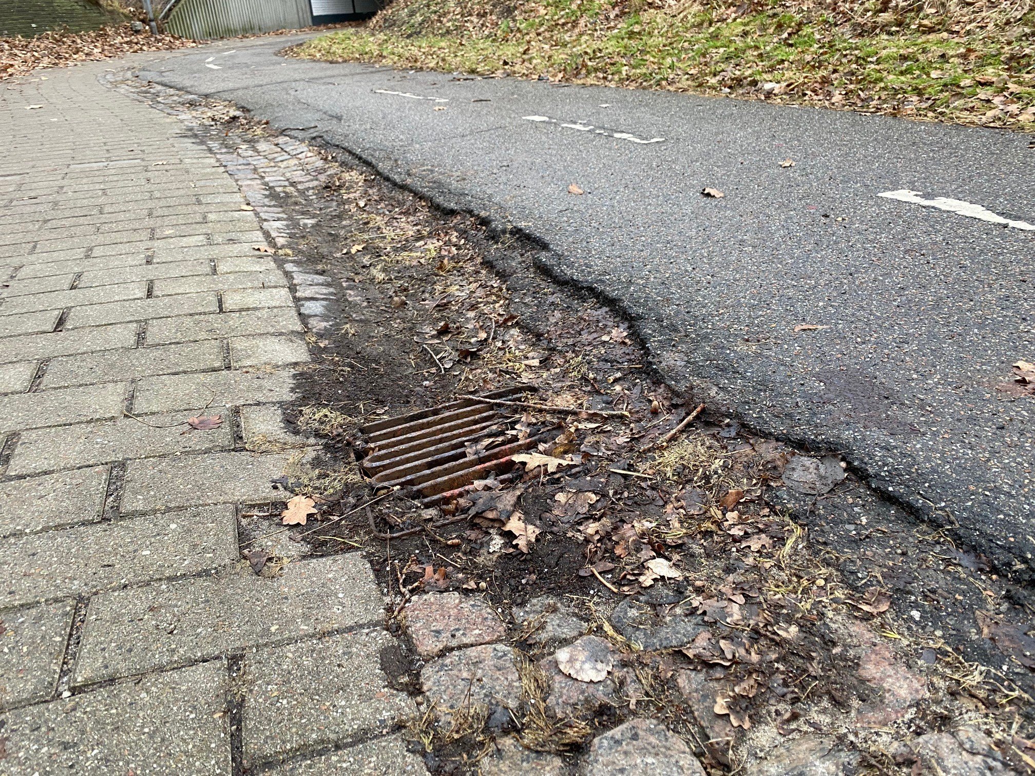 Foto: Bent Fischer-Nielsen (SF), Medlem af Plan-, Trafik- og Klimaudvalget