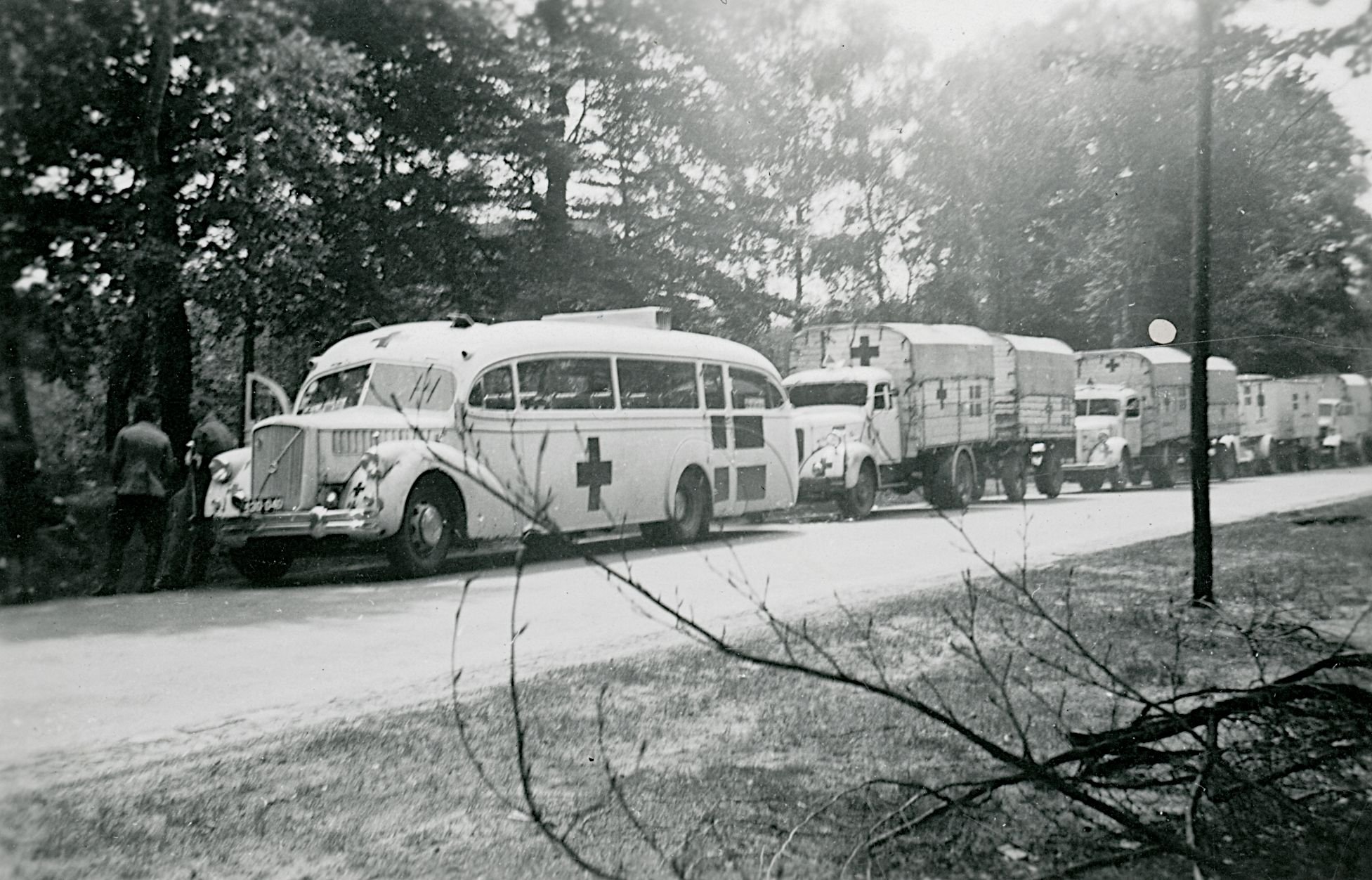René Meyrowitschs forældre og bror blev reddet fra kz-lejr Theresienstadt af de hvide busser. Den 22. maj holder han foredrag om den film, han har lavet om det, på Sorø Museum
