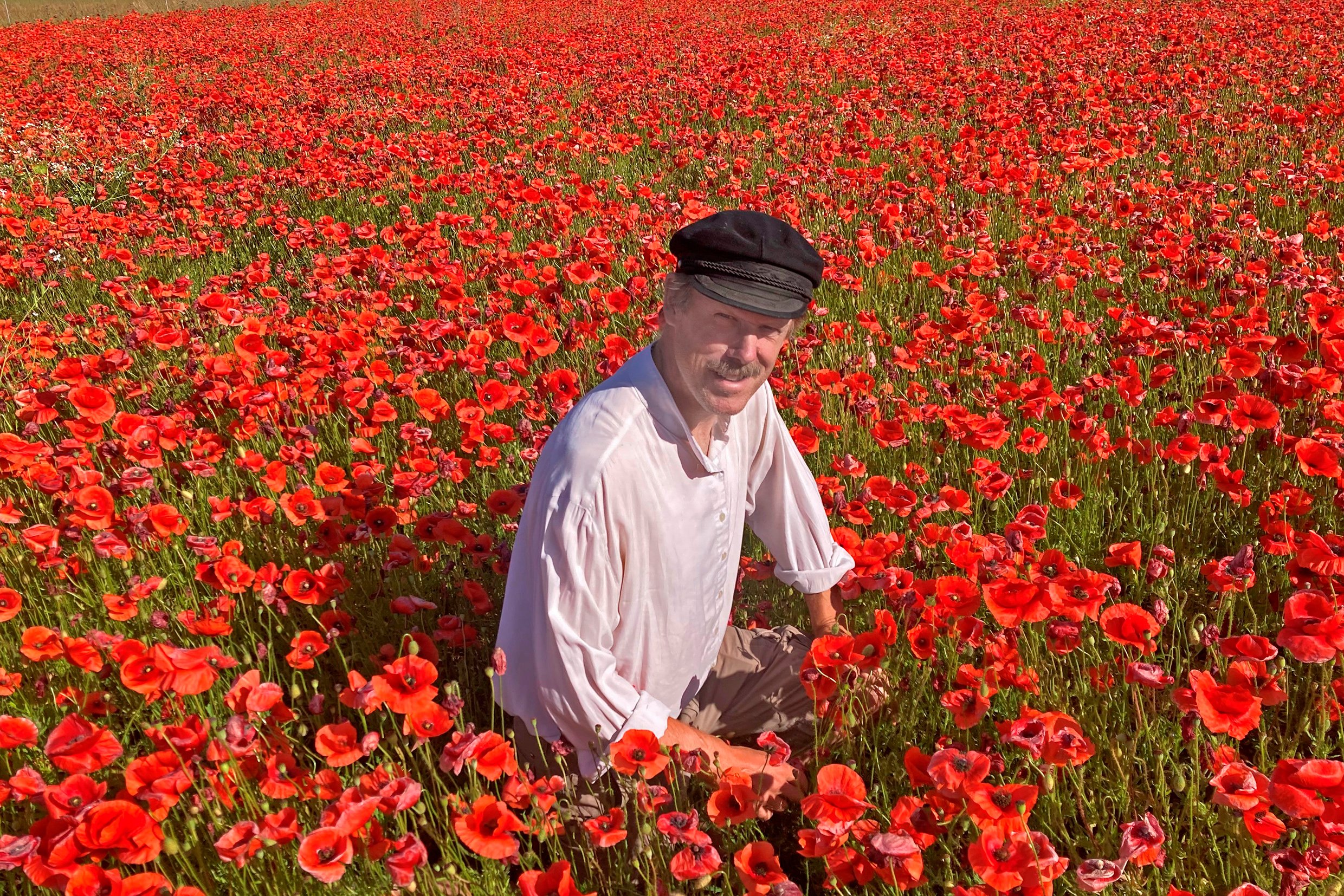 Nye tiltag kan også føre uventede ting med sig. Sognepræst ved kirkerne på Tuse Næs, Mikkel Vale, medvirkede sidste år til at lade kirkejordene ved Udby Kirke føre tilbage til at være vilde naturgrunde. For at hjælpe markerne på vej har kirken plantet træer på jordene, men ganske overraskende er det valmuerne, der har taget over. Foto: Merete Ettrup