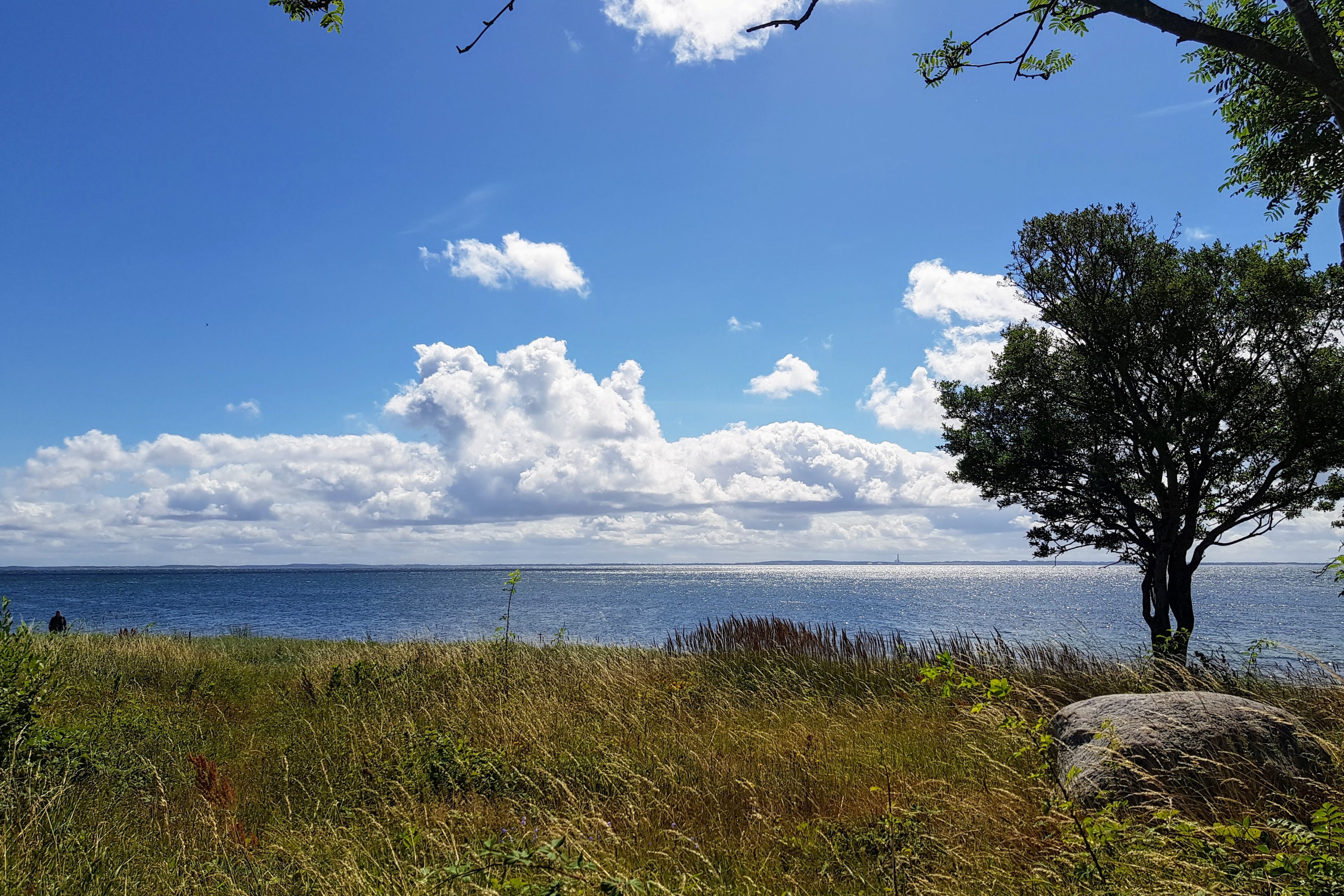 Ved Nakkehage kan man se kystlinje hele vejen rundt. Foto: Pipaluk Balslev
