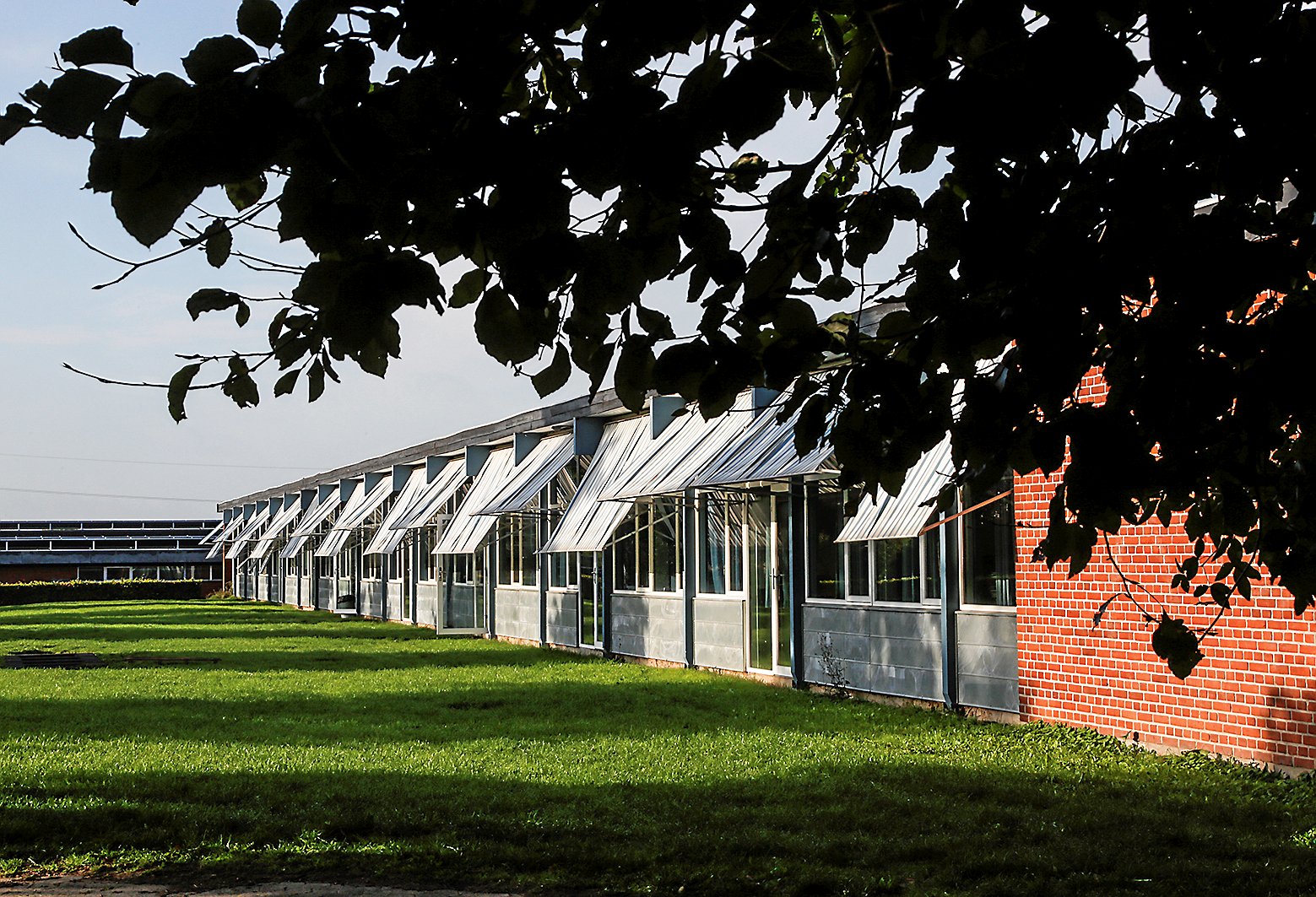 På foranledning af Socialdemokratiet beholder kommunen 5-7000 kvadratmeter af Søagergrunden oveni de 915 kvadratmeter til udvidelse af Regnbuens legeplads. Foto: Kenn Thomsen