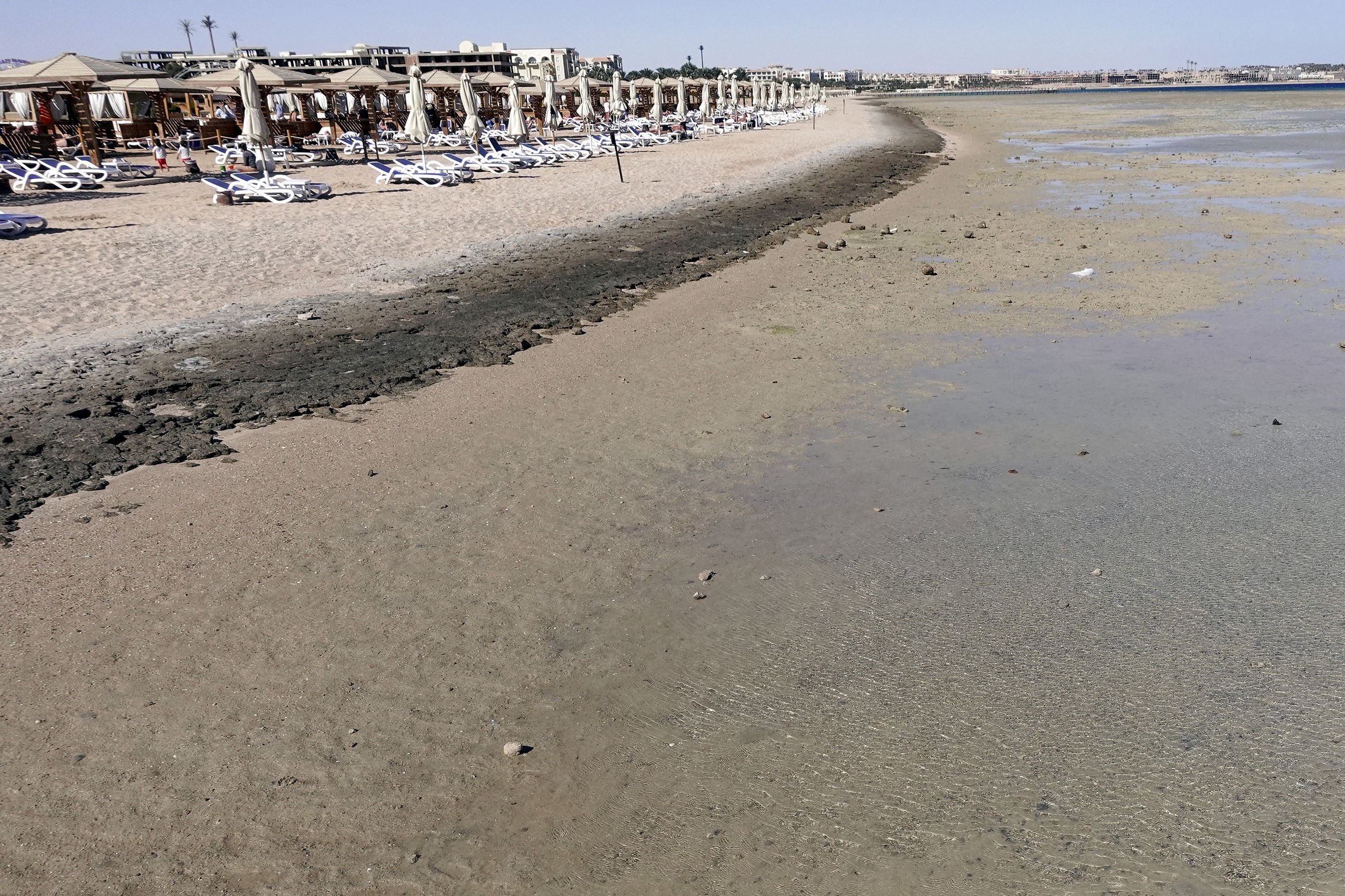 To kvinder har fredag mistet livet i et hajangreb nær den populære egyptiske feriedestination Hurghada.