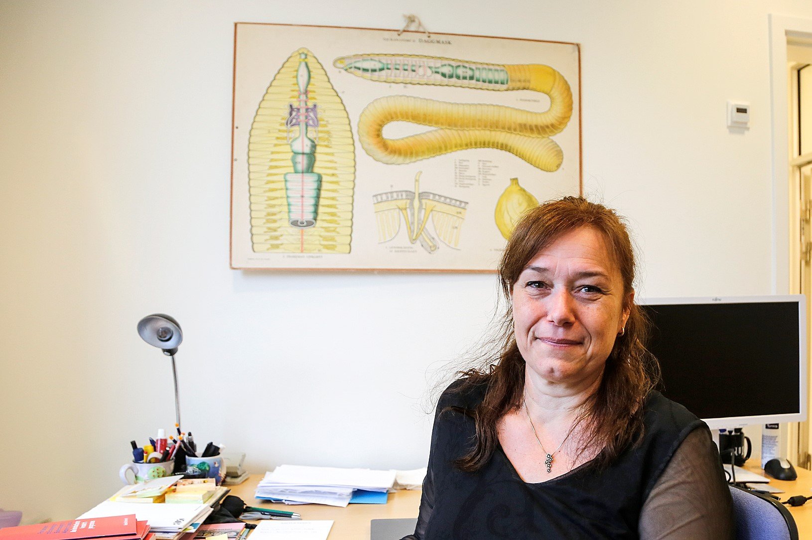 Annemette Palmqvist er bestyrelsesformand på Næstved Gymnasium og HF. Til daglig er hun prodekan (souschef) for uddannelse, Institut for Naturvidenskab og Miljø på RUC. Foto: Ken Thomsen