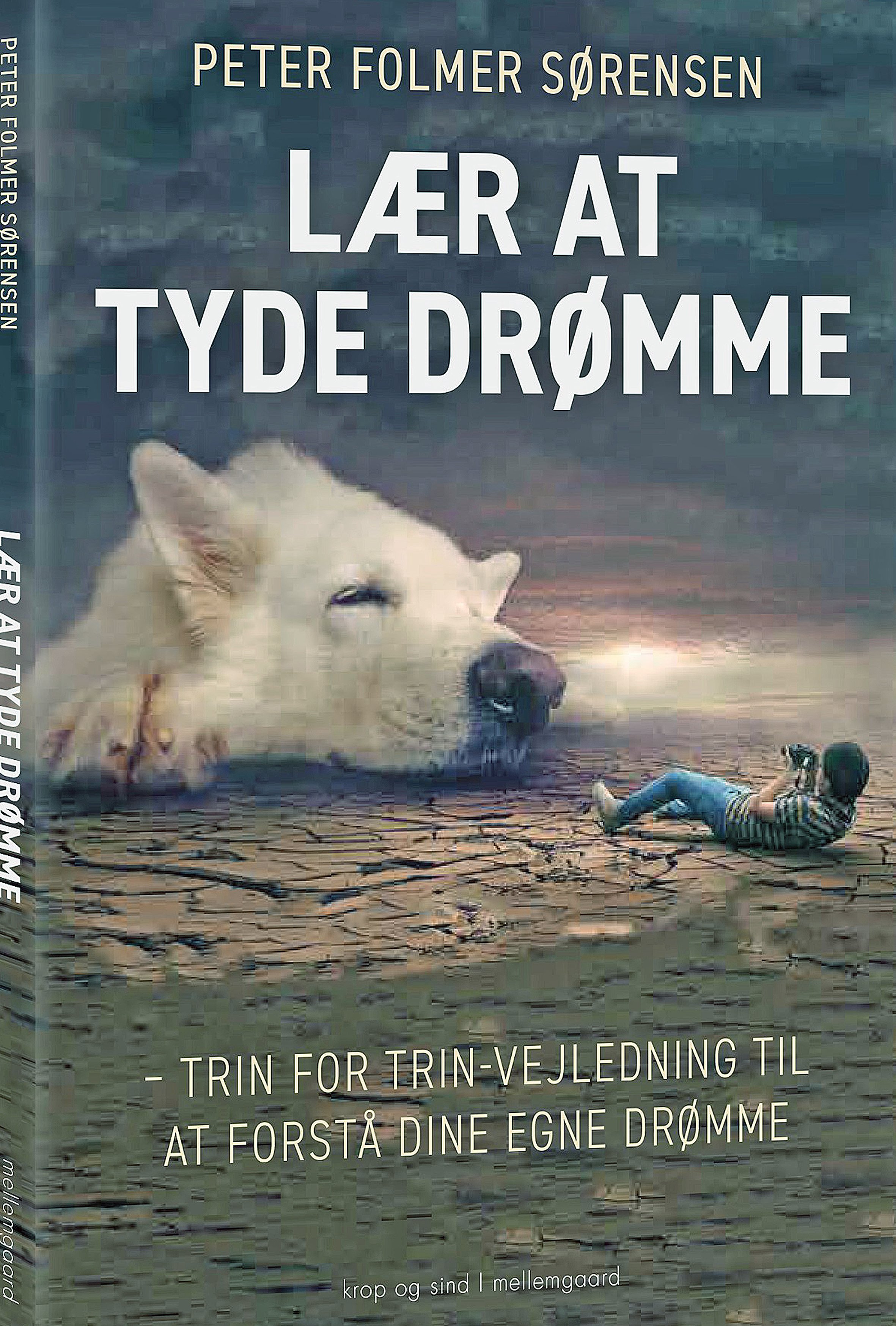 Hvad betyder drømmen? – Sjællandske Nyheder