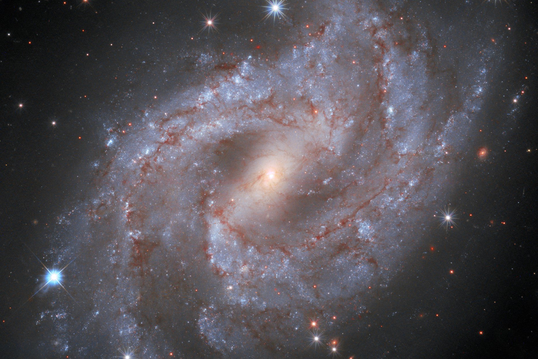 En supernova i galaksen. Foto: NASA, ESA og A. Riess