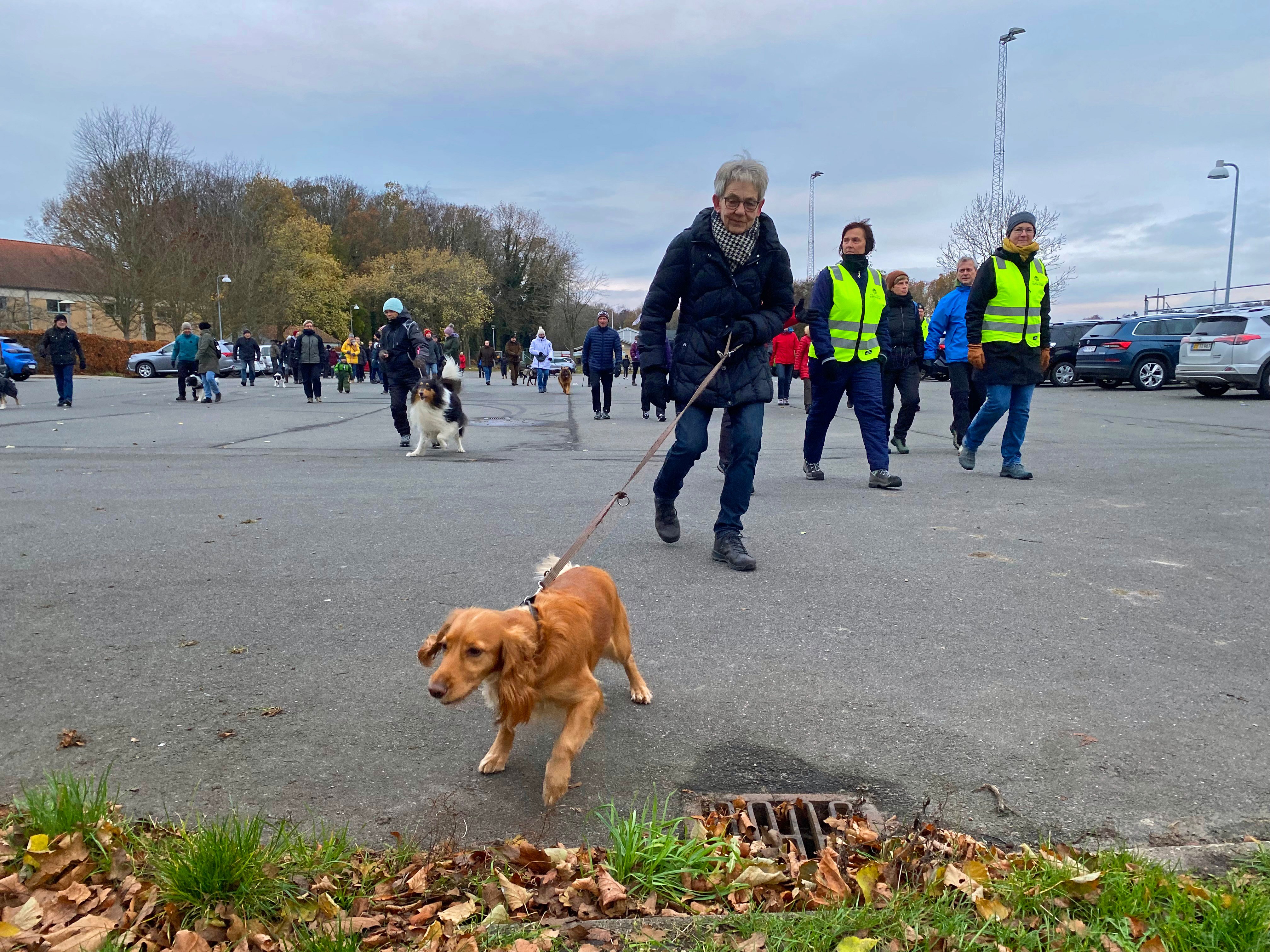 Der var god tilslutning til søndagens julemærkemarch i Kalundborg - den 46. af slagsen - med start fra klubhuset i Munkesøen.