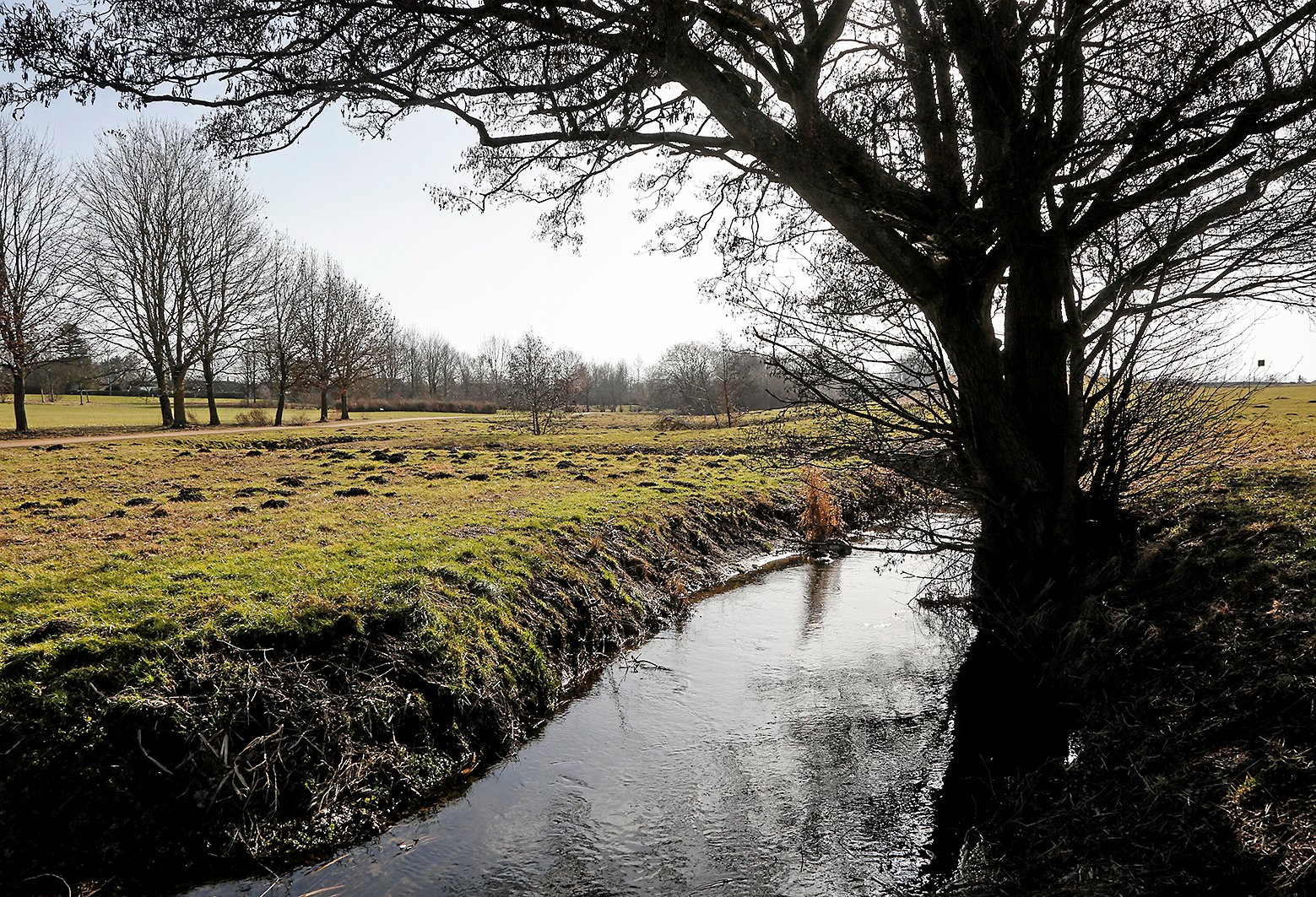 Specielt åerne, som går ud af Viby eller lige forbi, kunne være oplagte til at få den hastigt voksende bys beboere ud i naturen. Her er det Lavringe Å, som i Viby nok bare kaldes Viby Å.