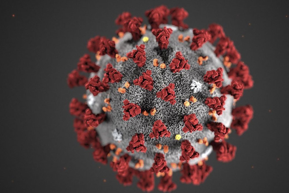 Den første dansker er konstateret smittet med coronavirus. Sundhedsstyrelsen forventer flere tilfælde.