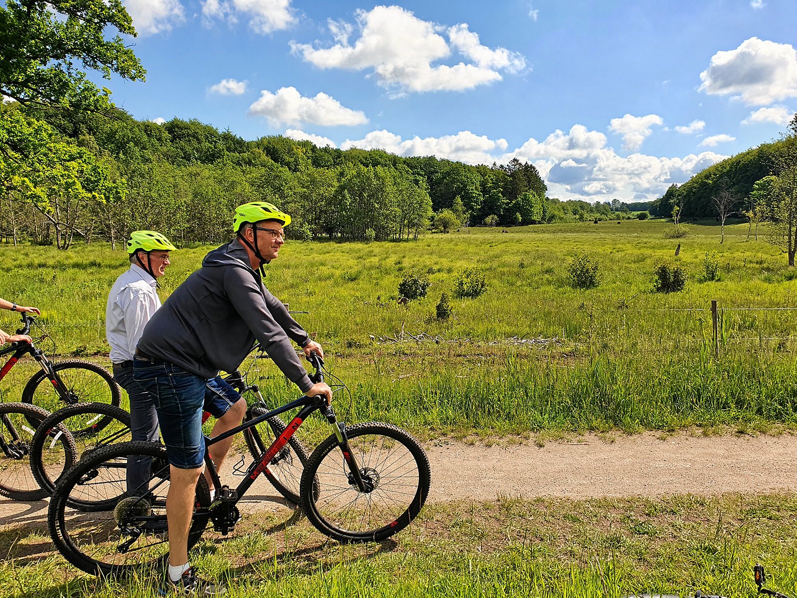 Med planerne ville en stor luns af den nuværende Naturpark Mølleåen blive en del af Naturnationalpark Mølleåen.
