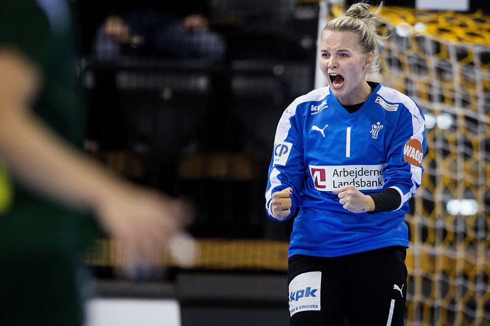 Landsholdsmålvogteren var den bedste spiller i 2019, mener Håndbold Spiller Foreningen, der står bag kåringen.