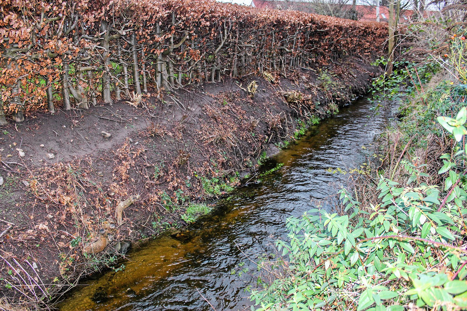 l-serbrev-ingen-r-r-ved-stenl-se-sj-llandske-nyheder