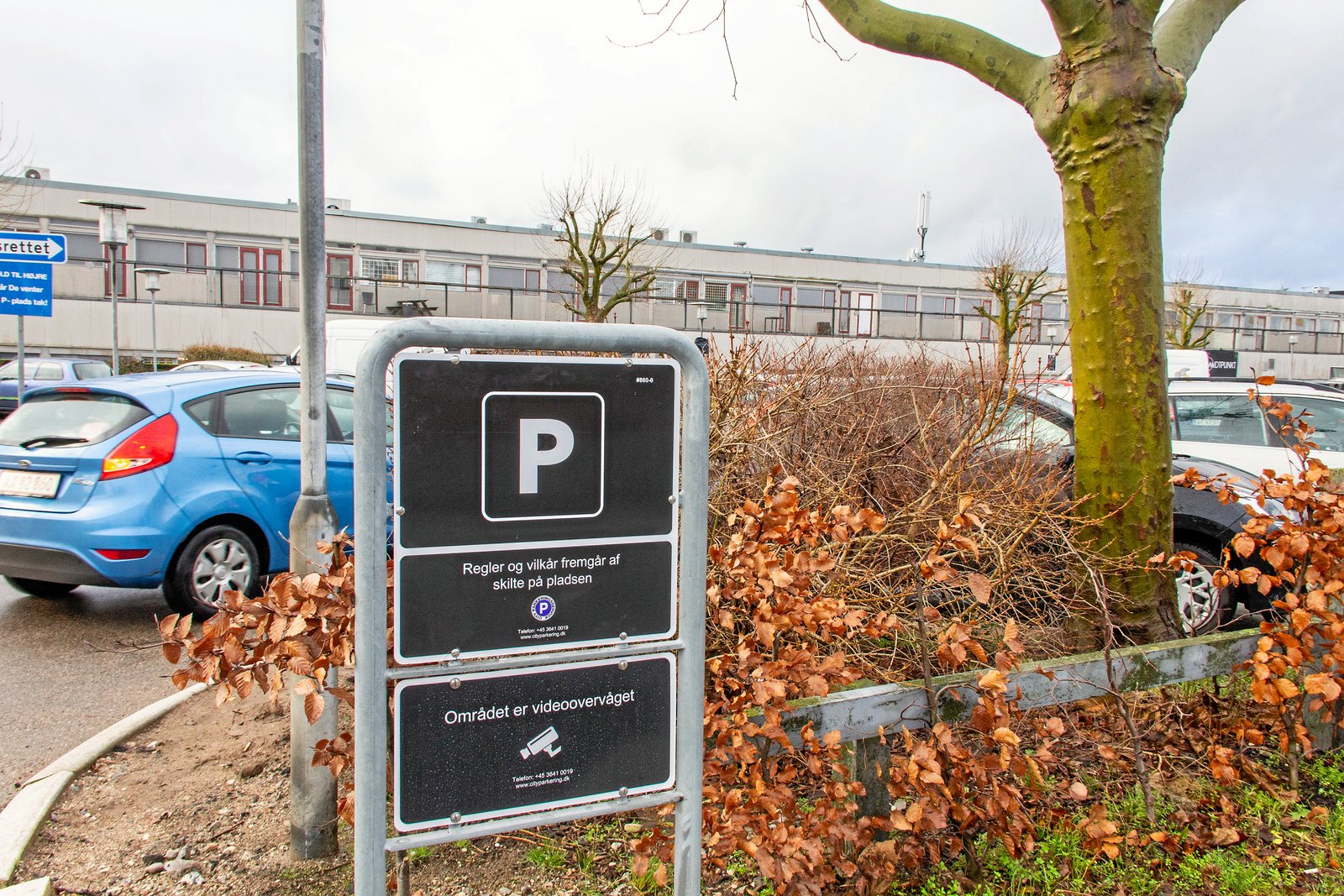 Af Pernille Rask, Slotsbakken 136, Hørsholm: