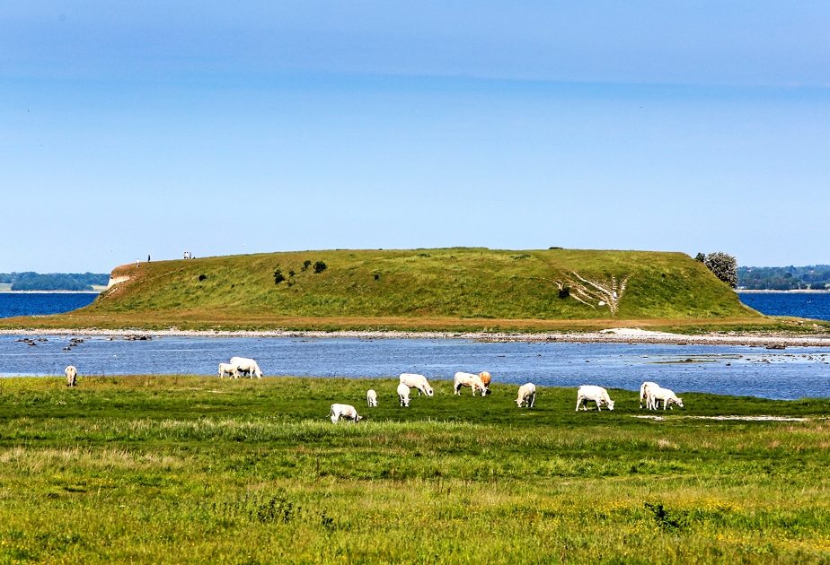 Halvø i Roskilde Fjord er helt central for TV2-julekalender ...