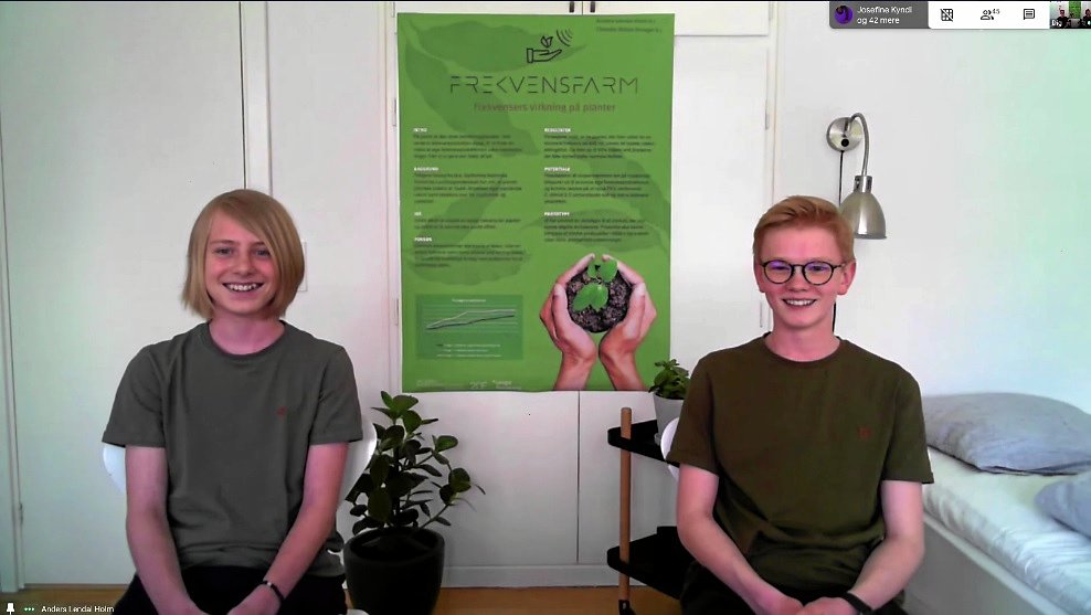 Anders Lendal Holm og Theodor Anton Sivager fra 8.i på Skt. Josefs Skole fulgte finalen i Unge Forskere sammen og vandt kategorien Life Science med deres projekt »Frekvensfarm«, der undersøger, hvordan frekvenser i musik påvirker planter. Affotograferet fra livesendingen på Facebook.