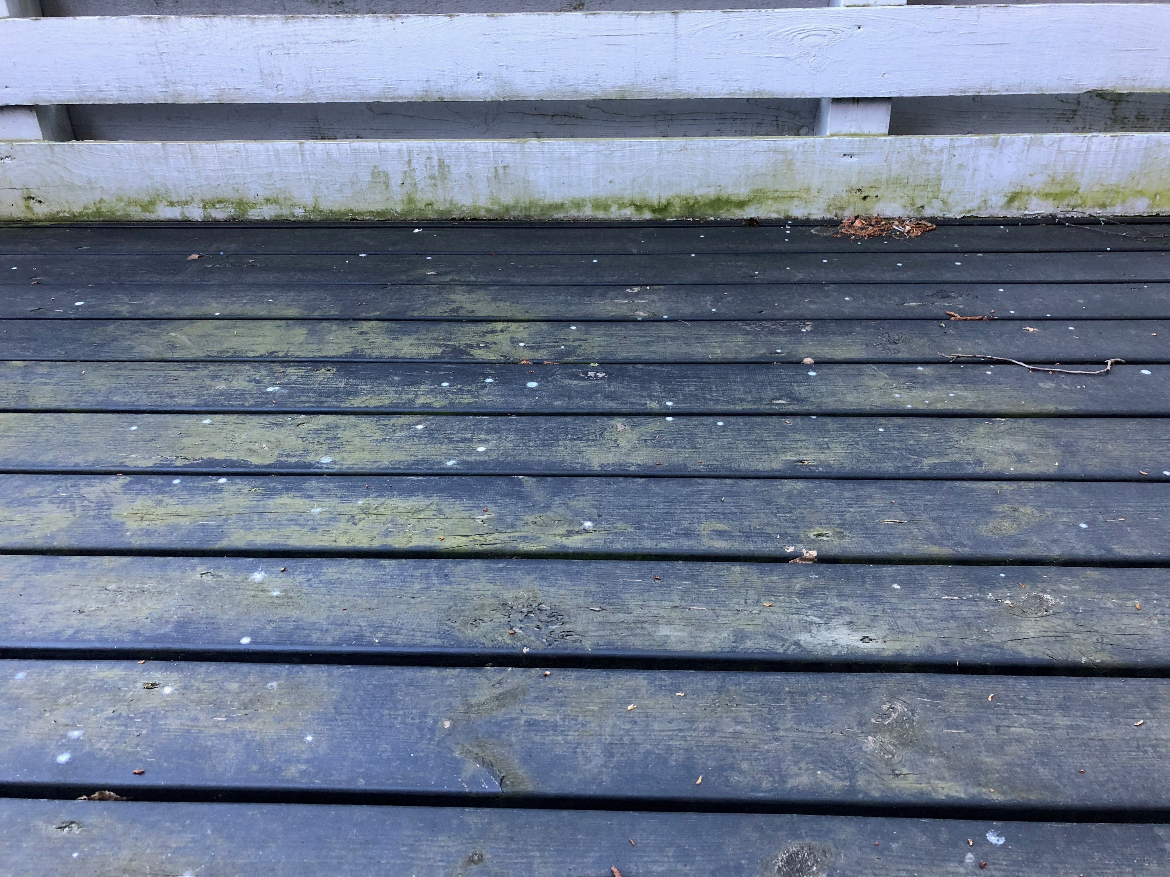 Alger kan betyde en del for træterrassens udseende, men der er flere ting, du kan gøre for at fjerne dem.