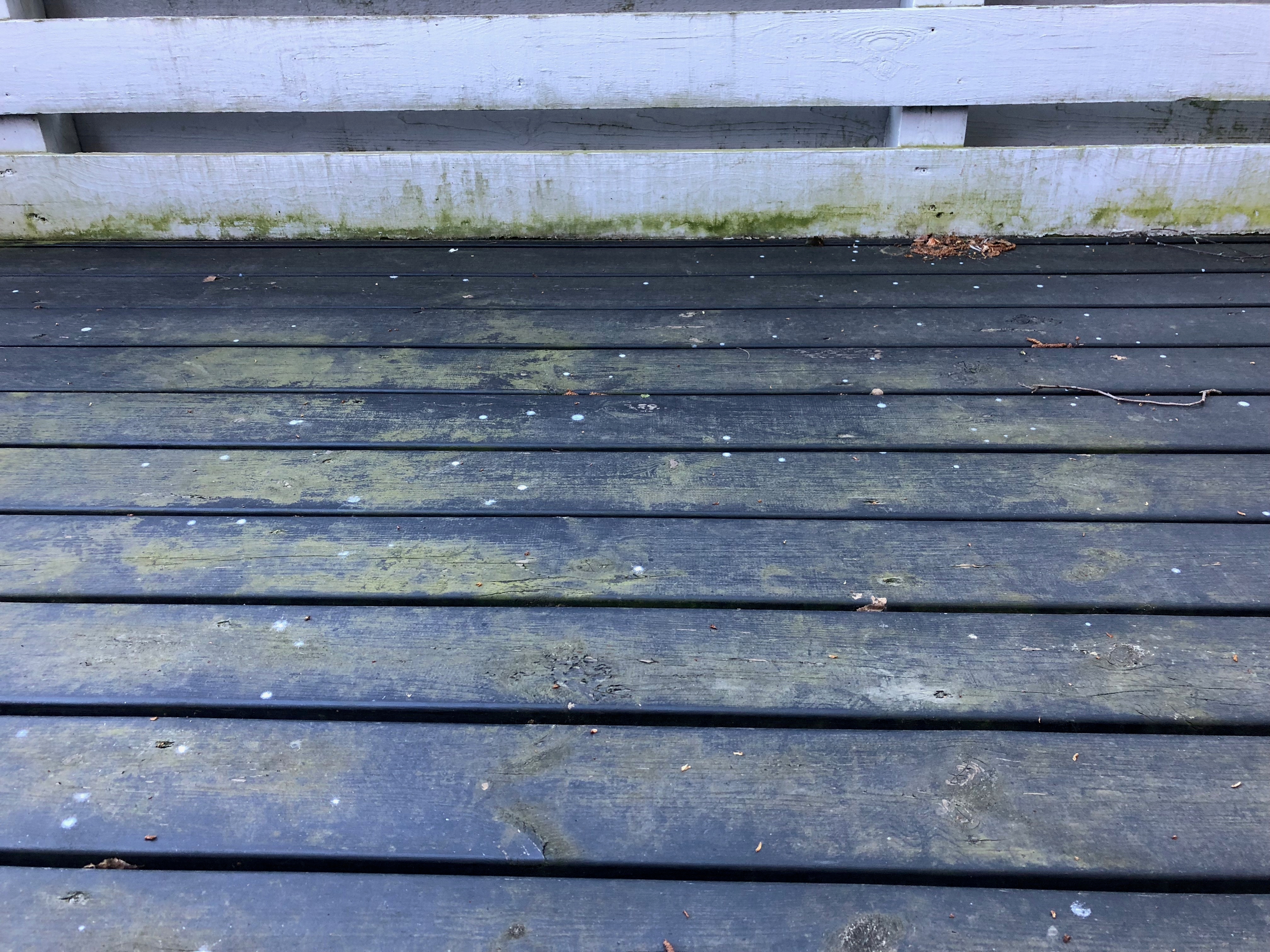 - Malte Abildgaard Christensen