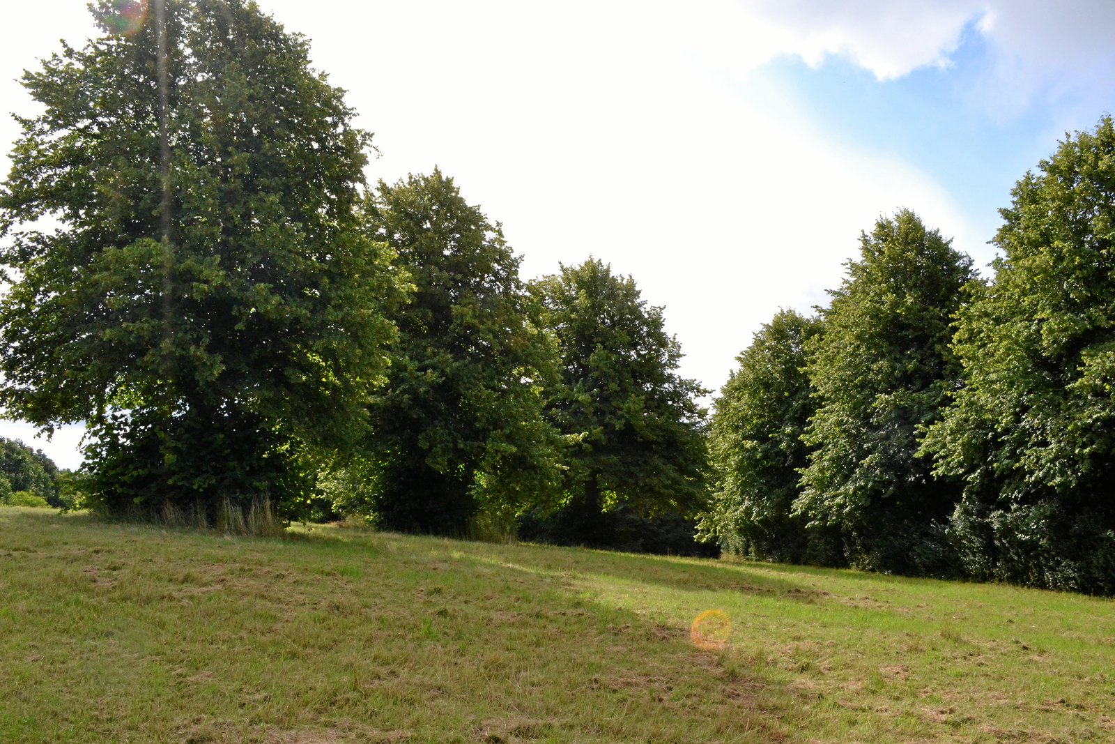 Når de grønne områder forbindes, så vokser deres værdi - ikke bare i kvadratmeter, men i livskvalitet, mener skribenten.