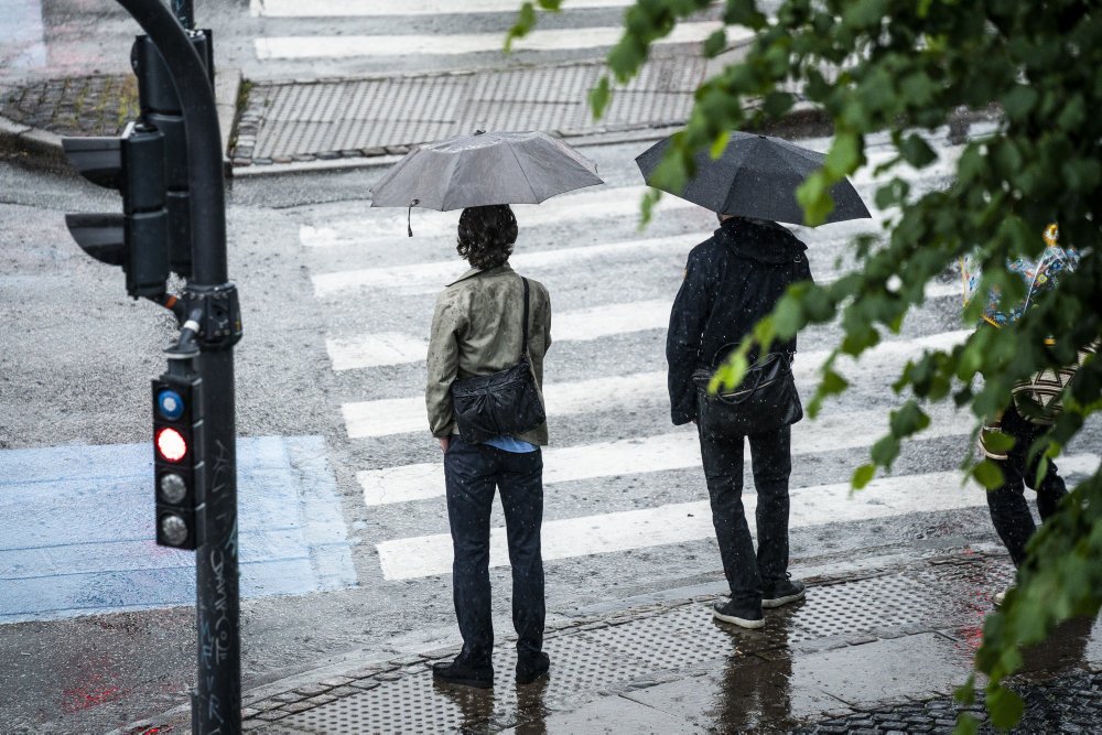 Flere steder i Nordsjælland målte onsdag skybrud. To steder faldt mere end 40 millimeter regn på 30 minutter.