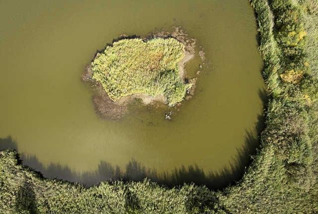Fugleværnsfonden har købt et stort stykke landbrugsjord ved Gundsømagle Sø.