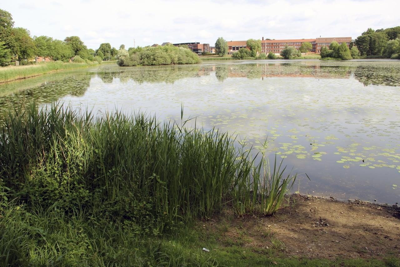 Muligheden for at Hillerøds borgere kan få en svalende dukkert, uden at skulle køre til stranden, er rykket ét skridt nærmere. Analyser viser, at vandet i Teglgårdssøen er rent nok til badesø